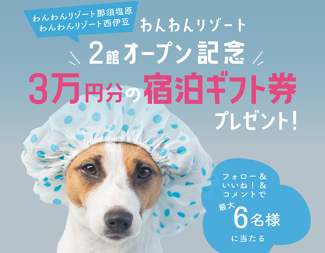 大江戸温泉「いいふろギフト券」3万円分が当たるキャンペーン実施中