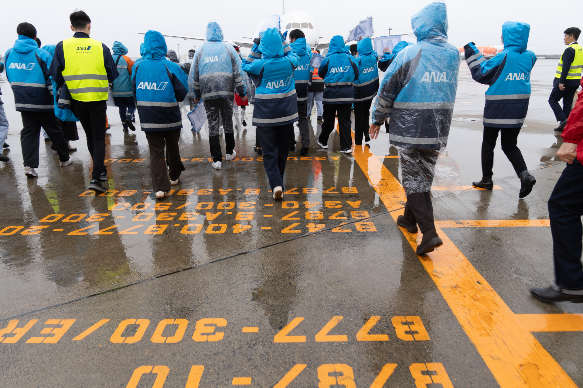 プッシュバックがはじまる