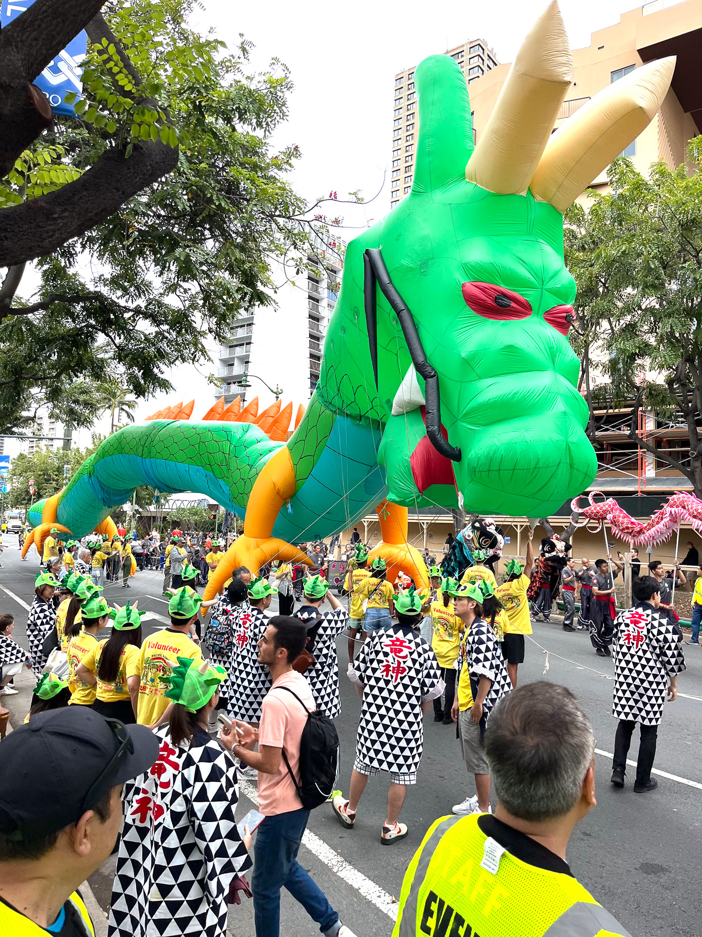 さいたま竜神まつり会による「昇天竜」は空を舞う竜