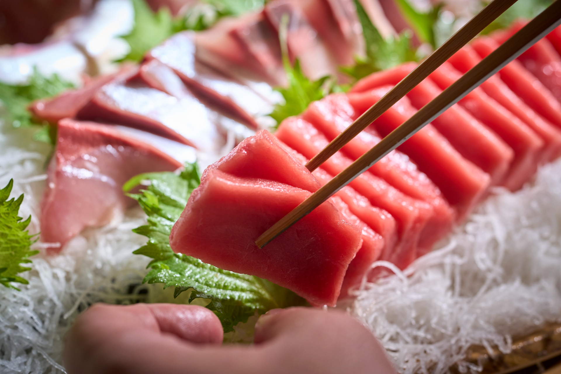 お造りは天然本まぐろ、真鯛、サーモンなど数種類。市場直送ならではの鮮度