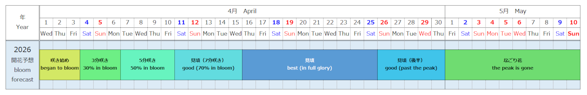 ネモフィラ開花予想2026年版（3月6日時点）