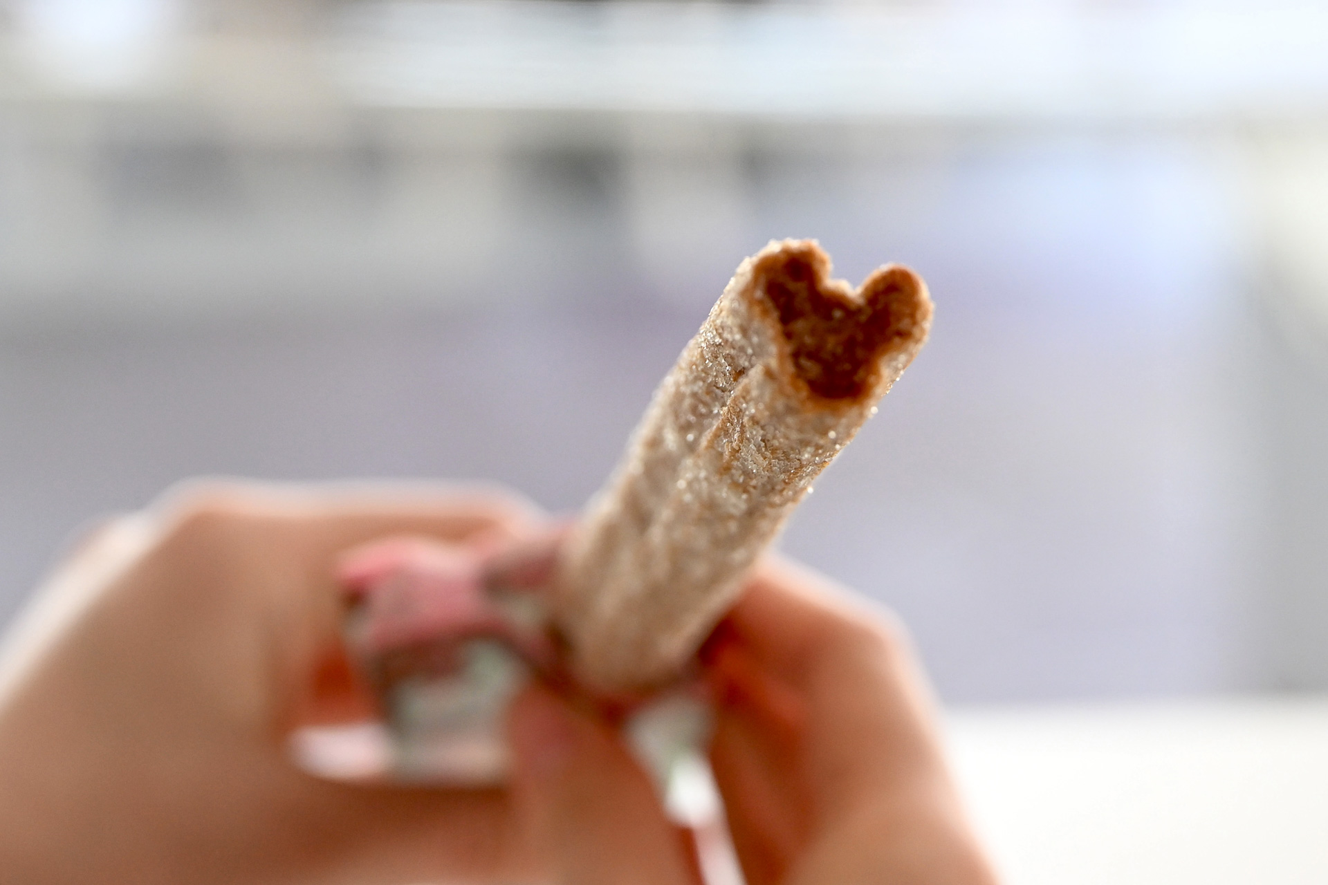 ミッキーチュロス（450円）