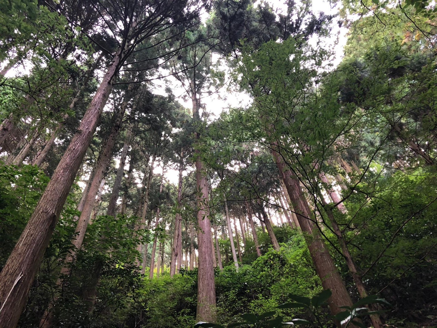 木質系建材を扱う大阪府岸和田市の企業かねひさが製造