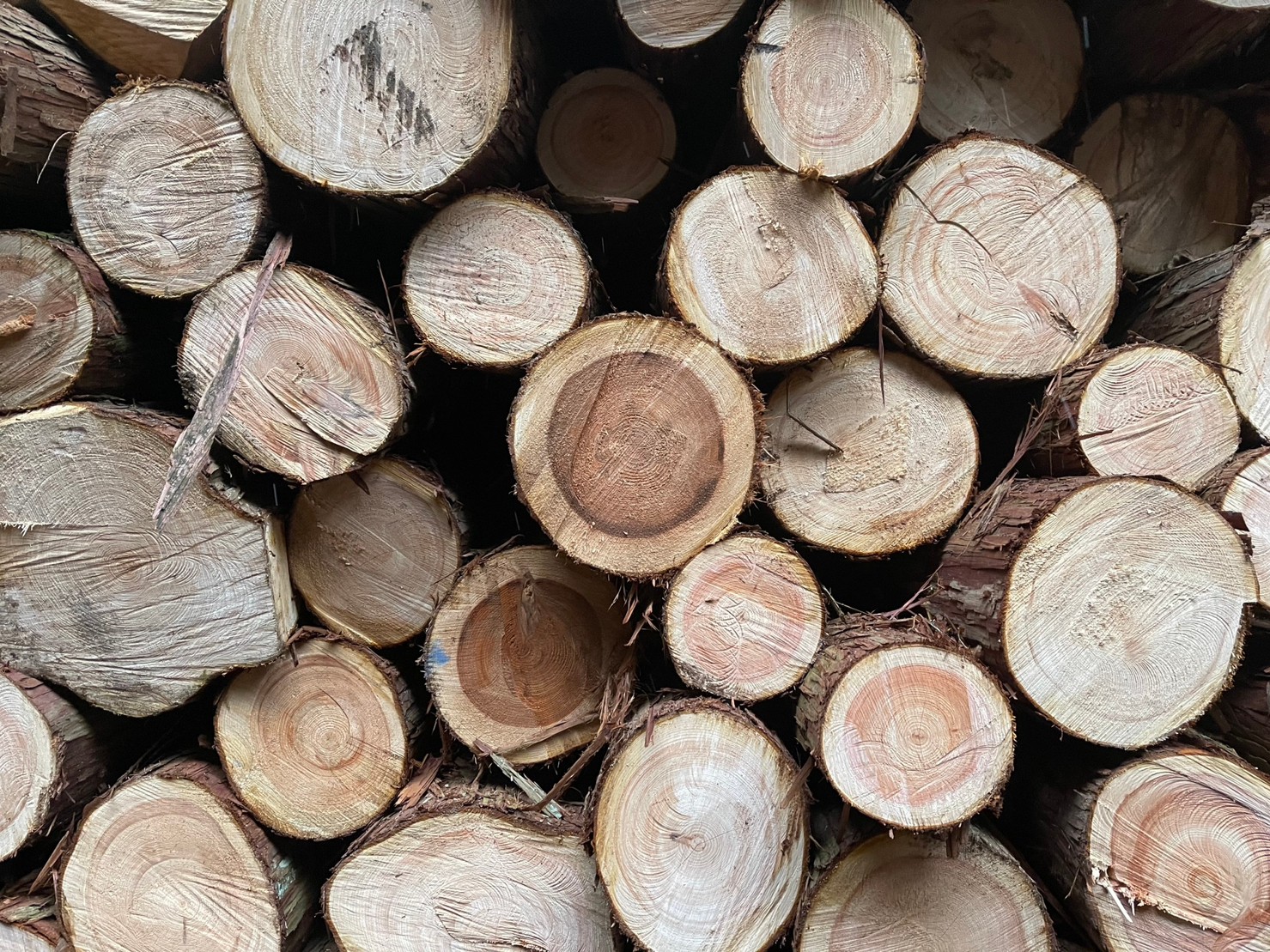 木質系建材を扱う大阪府岸和田市の企業かねひさが製造