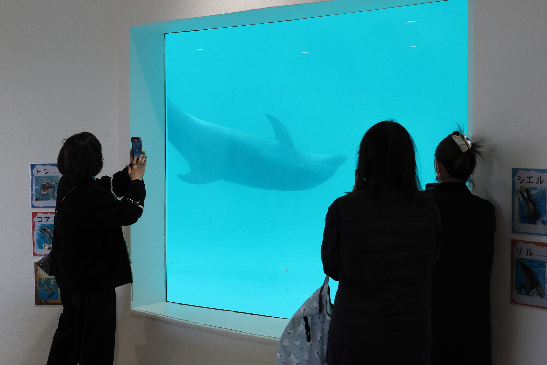 施設に入場するとすぐに目に入る窓。プールのなかが覗けます