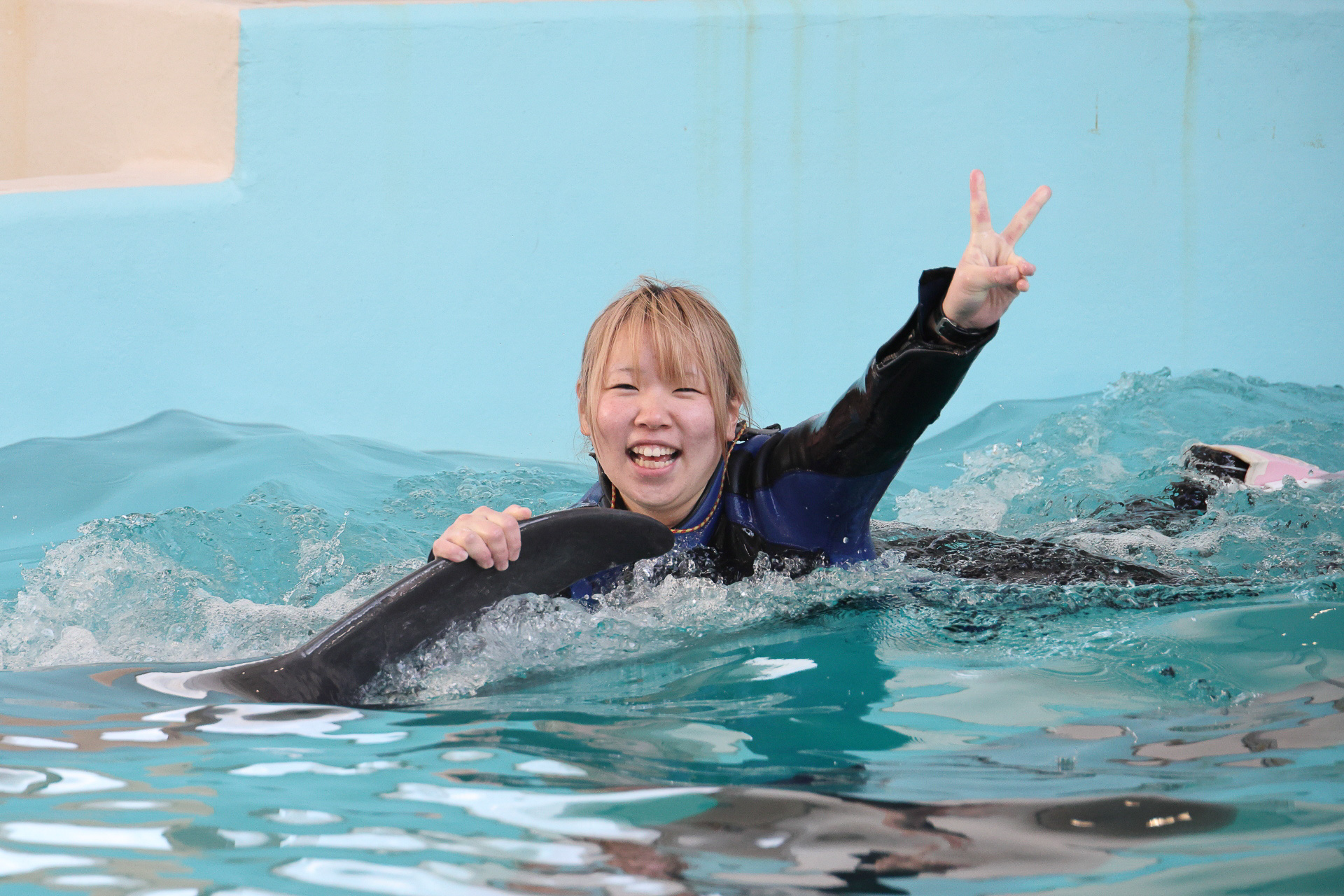 ウェットスーツを着て楽しむドルフィンスイム