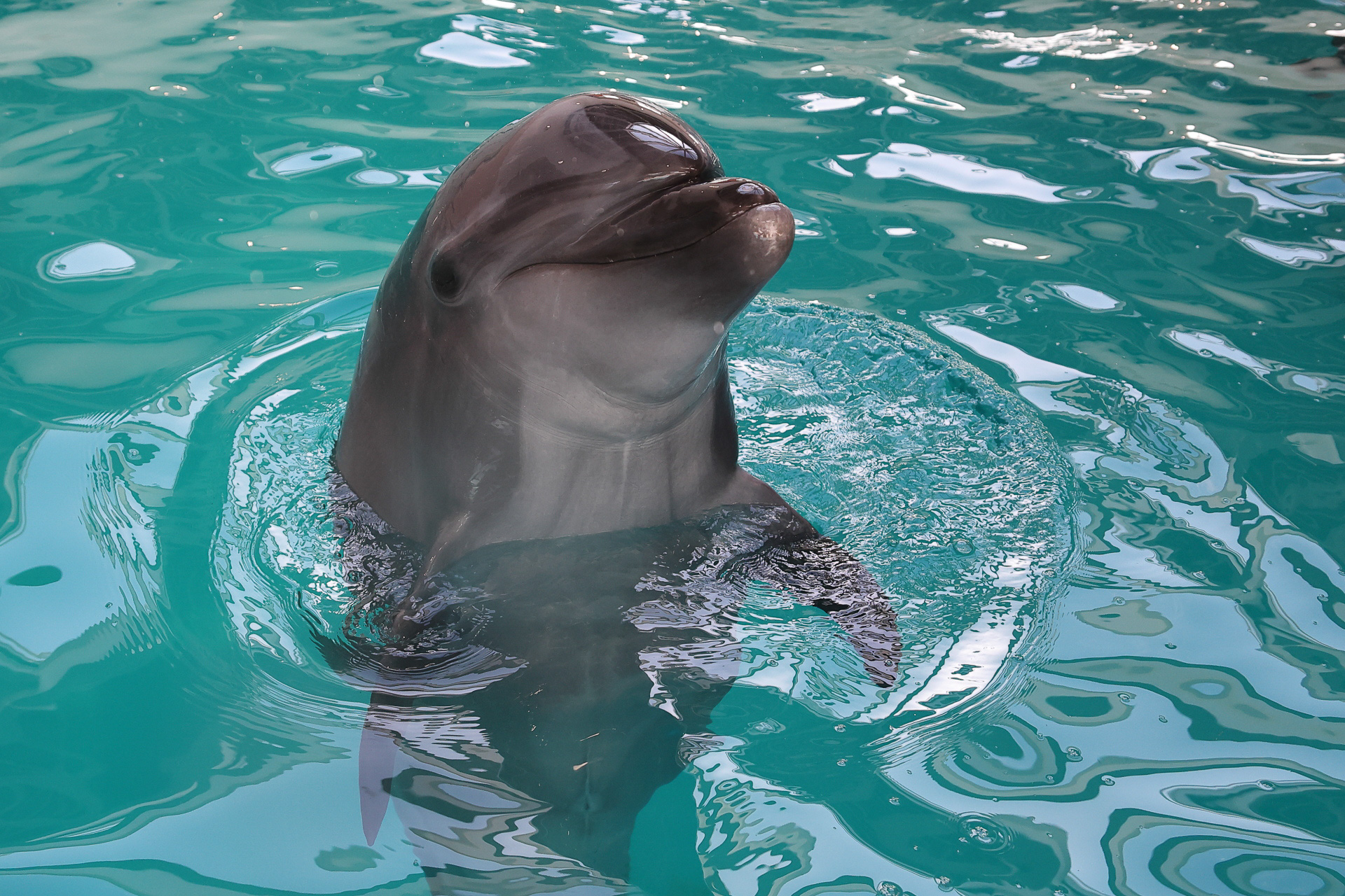 体験が終わる頃にはちょっぴり別れが惜しくなってしまいました