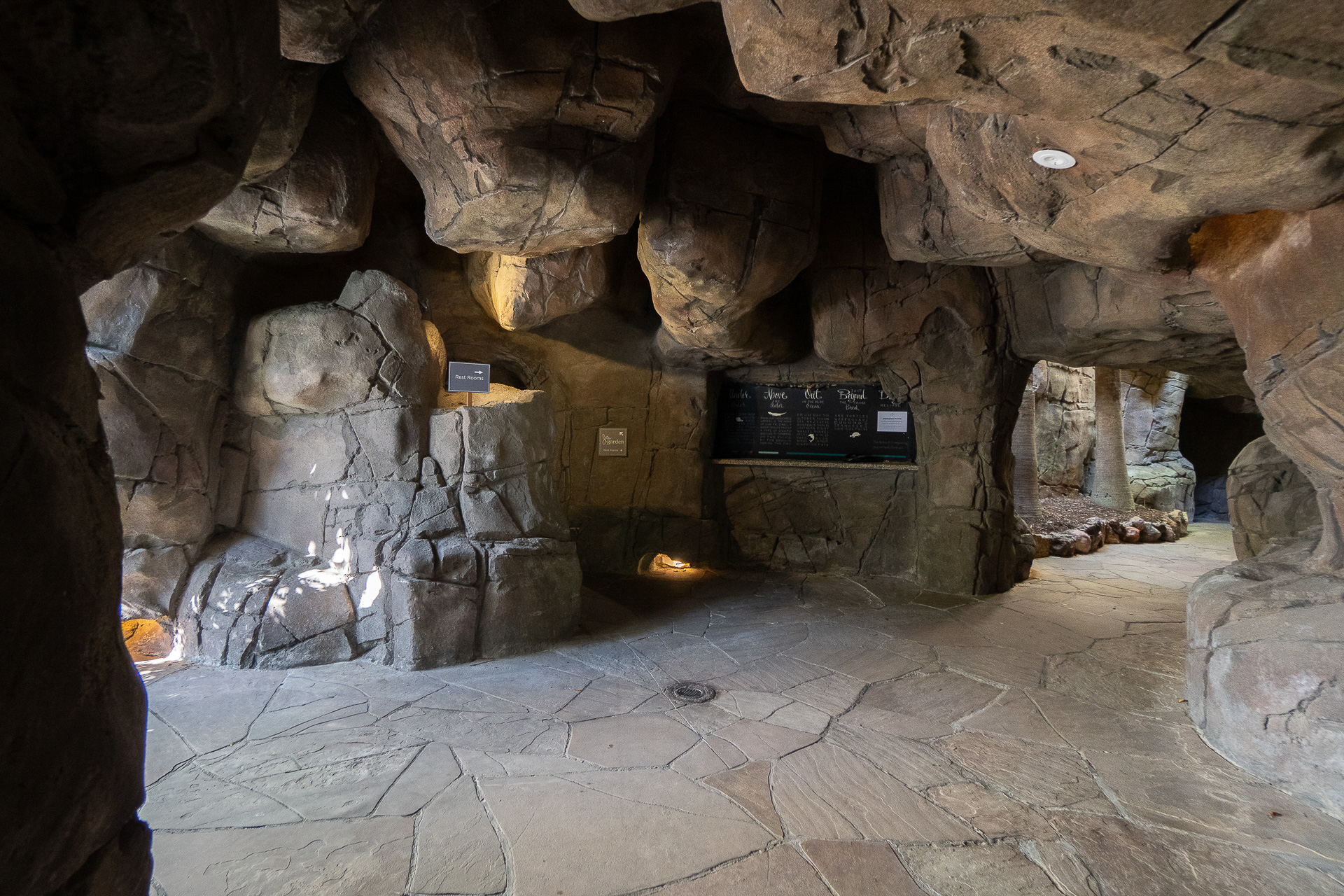 洞窟には途中に分岐があったりして、迷路のよう