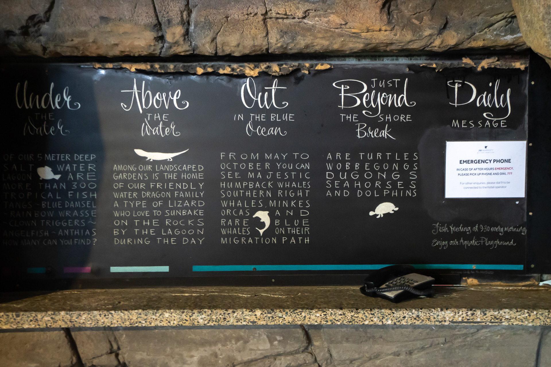 生息する動物の説明がある