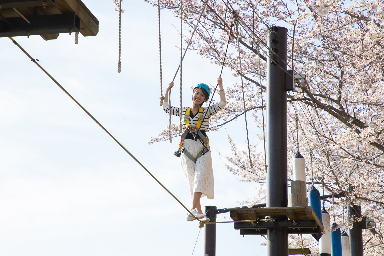 桜の枝とほぼ同じ高さで木々の間を飛び移る空中アスレチック「天狗道場」