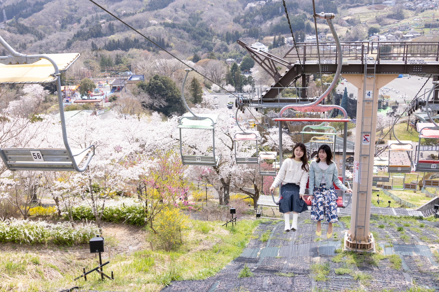 この時期ならではの「お花見アトラクション」を用意している