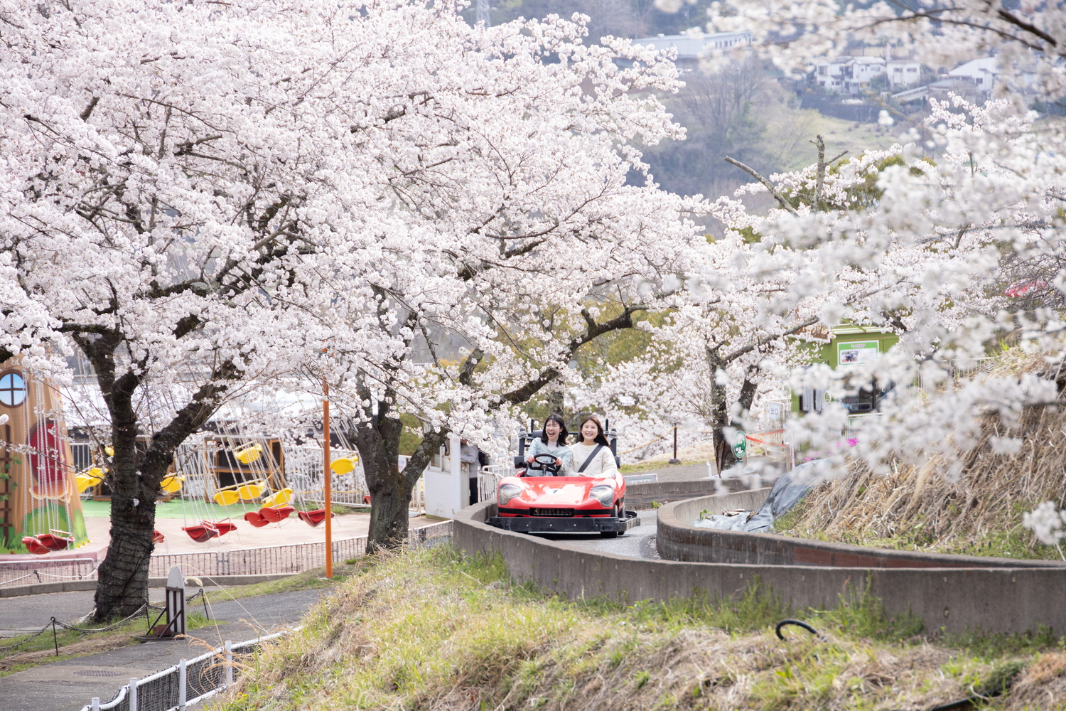 この時期ならではの「お花見アトラクション」を用意している