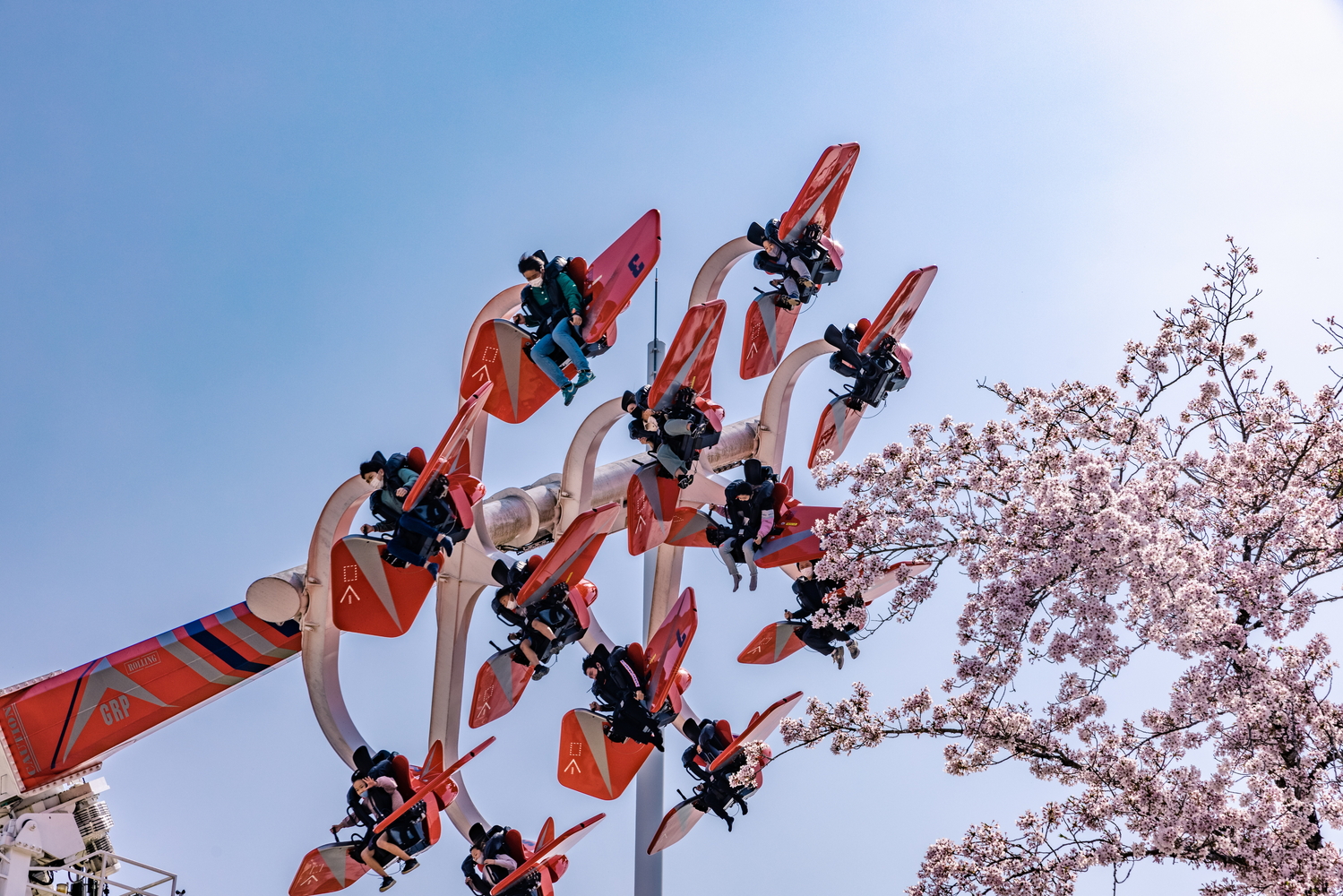 この時期ならではの「お花見アトラクション」を用意している