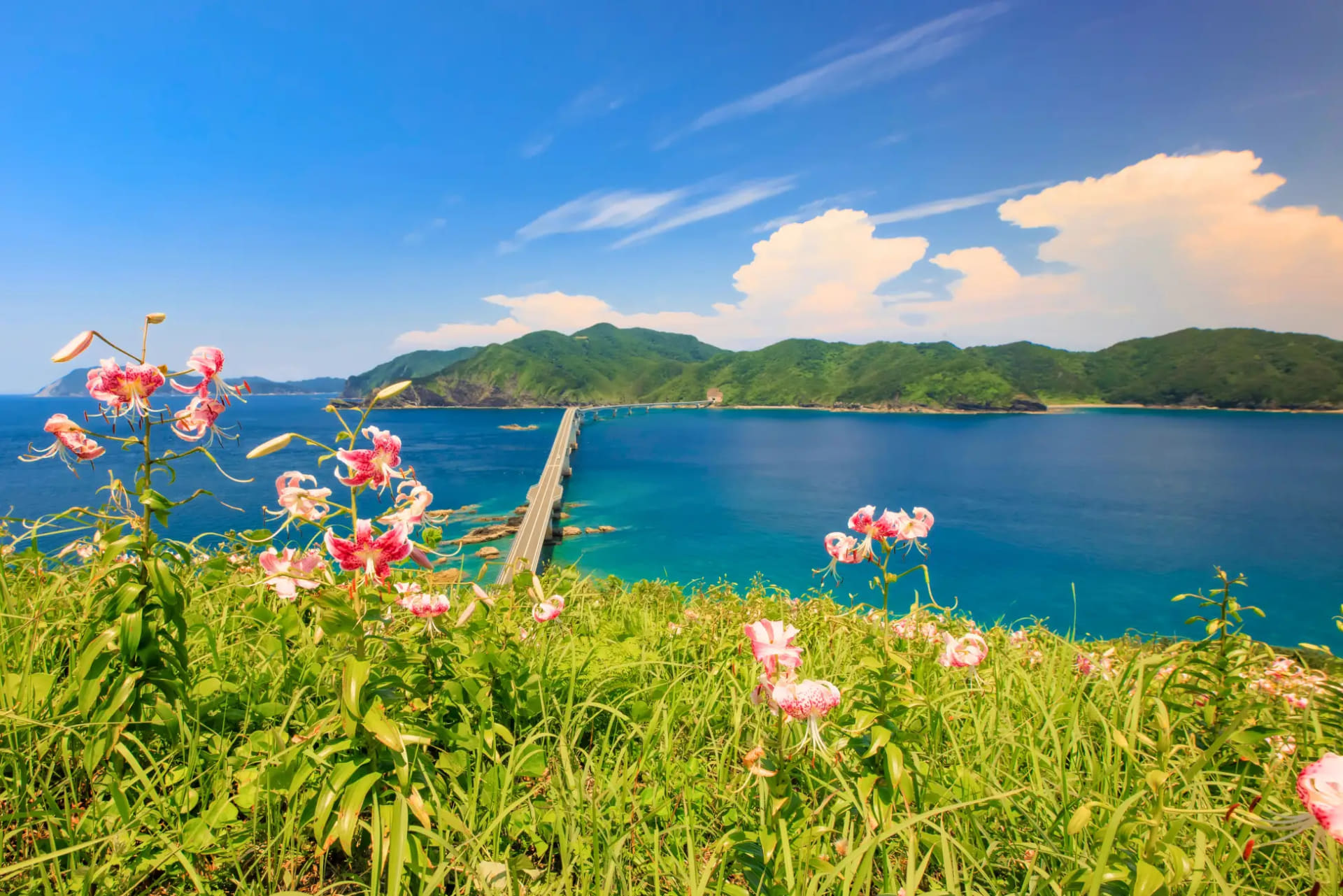 国定公園「甑島列島」の断崖絶壁をはじめ、観光スポットが点在。鹿児島県北西部に位置し、主要アクセスとして九州新幹線停車駅「川内駅」がある