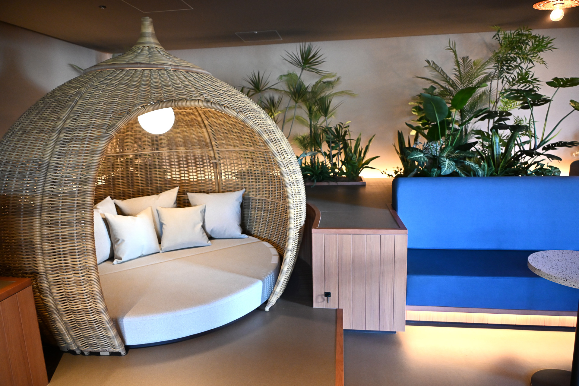 利用者は自由にドッグランが愛犬とともに利用できる