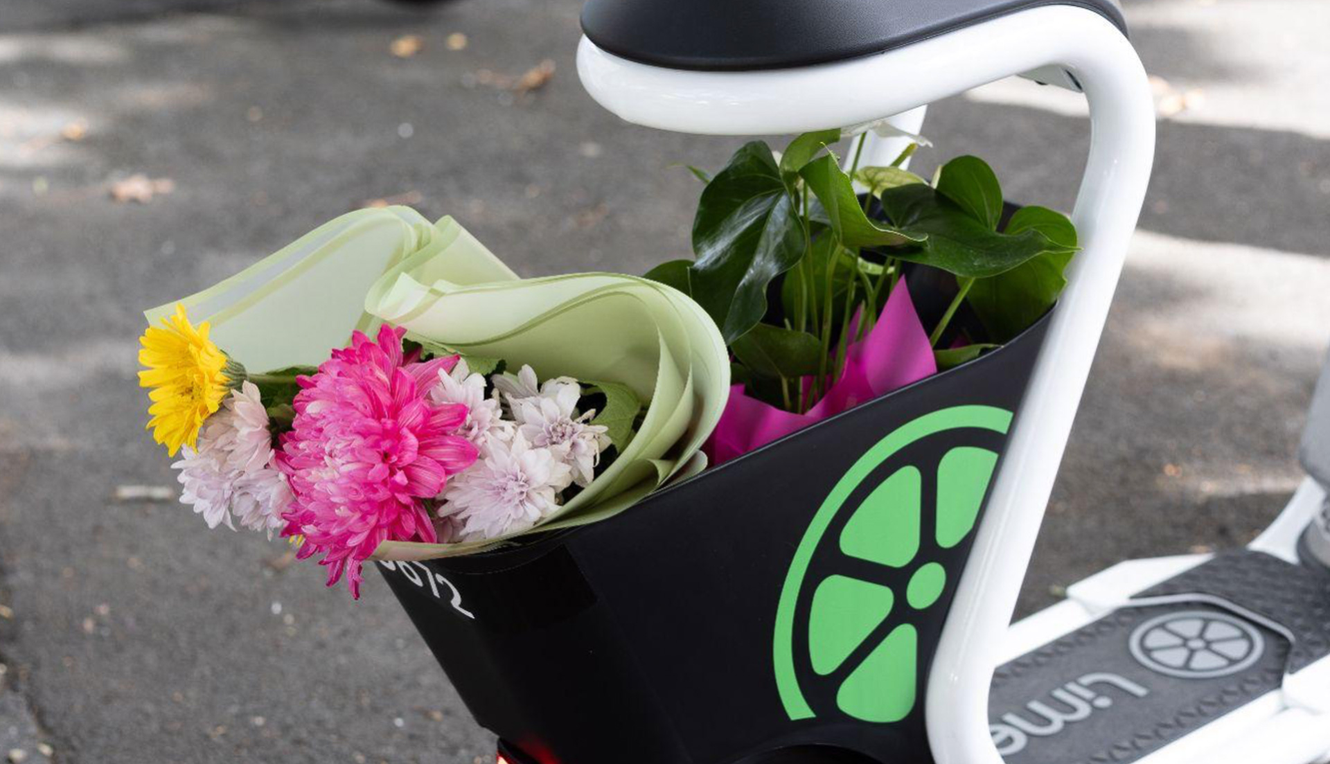 シートの下には荷物入れも