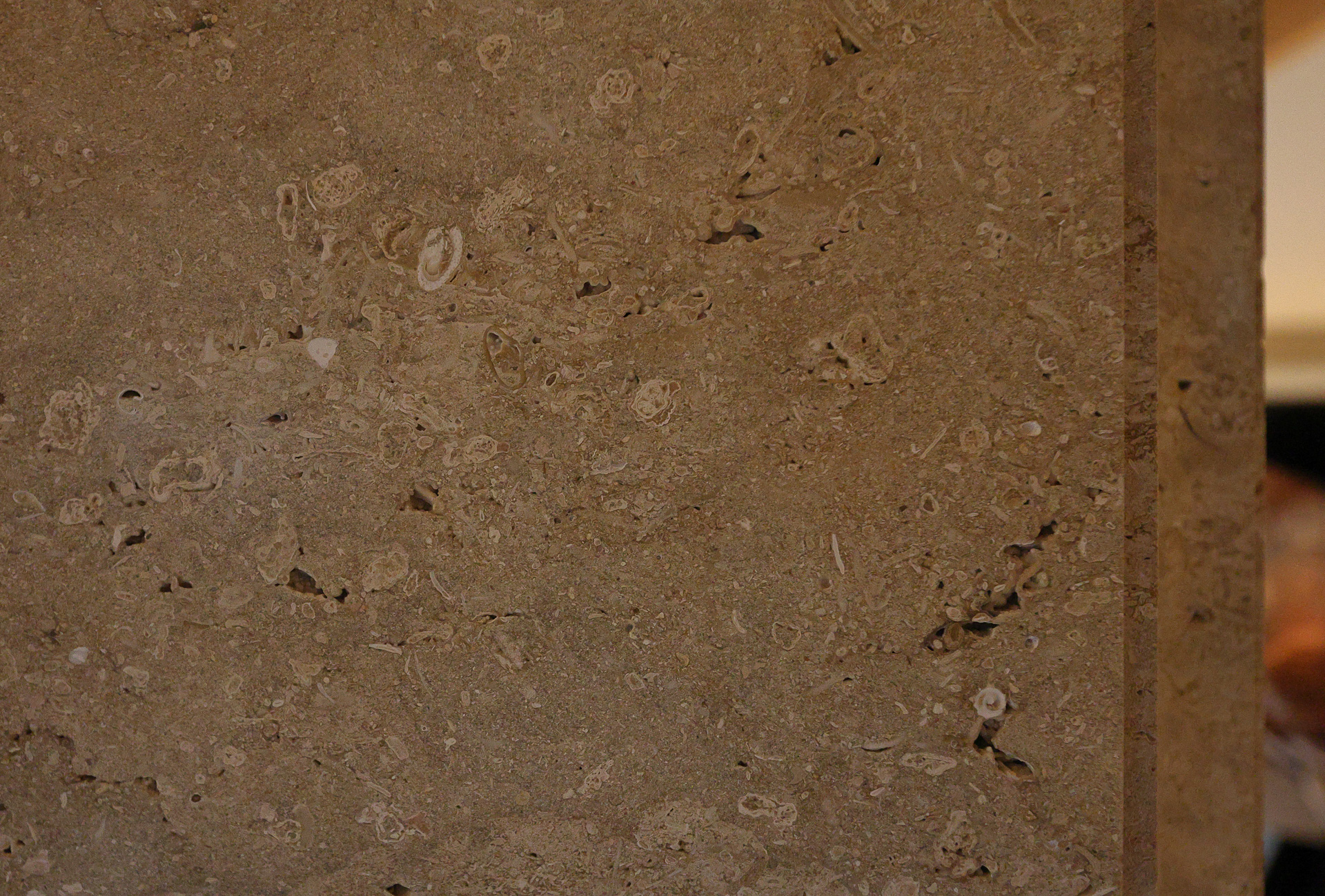 ロビ－の柱に使用している沖永良部島産の「田皆石」。海底堆積物の大理石で、海棲生物の化石が含まれている