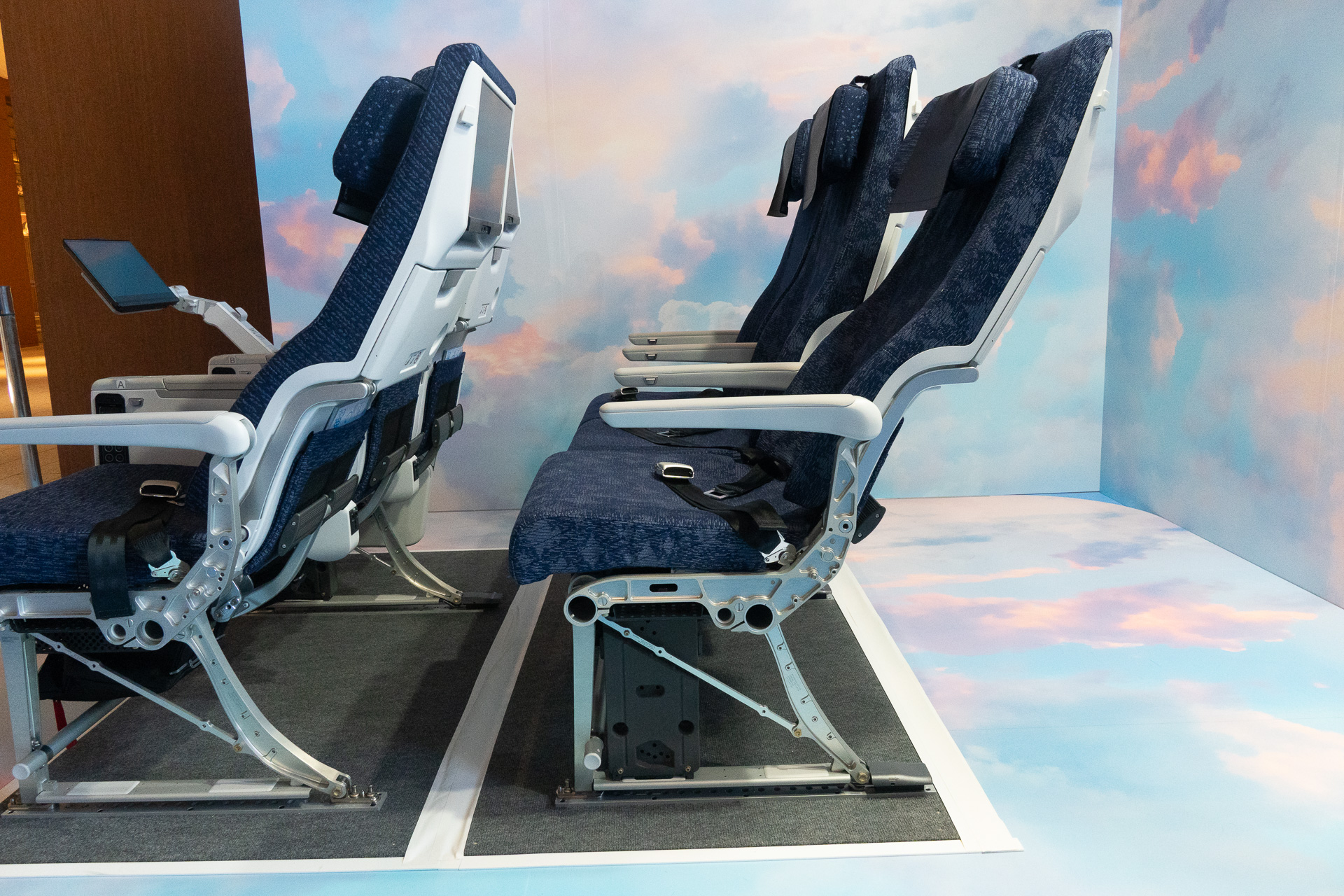 ANA's new international Economy Class.