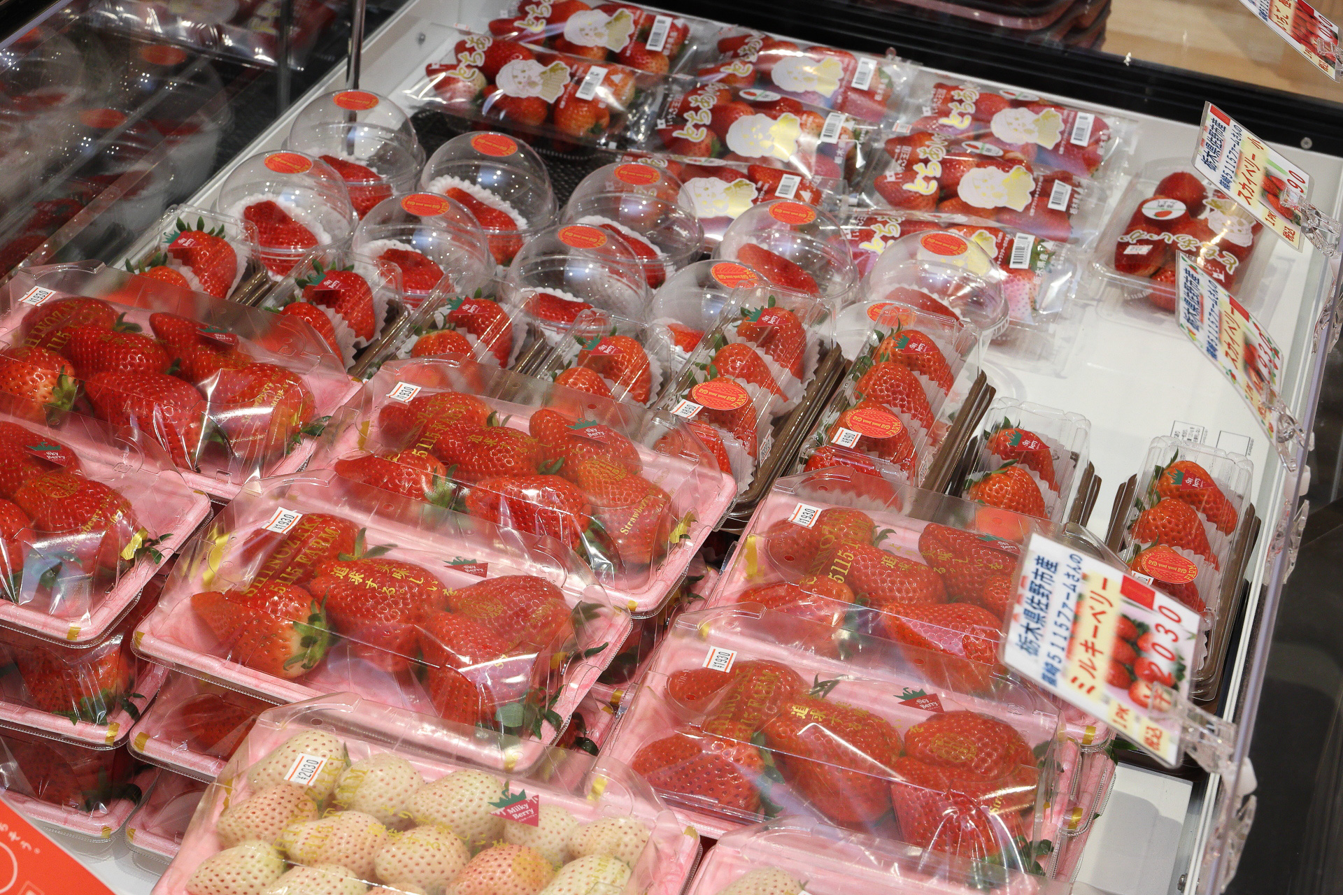 佐野市産のいちごも購入できる