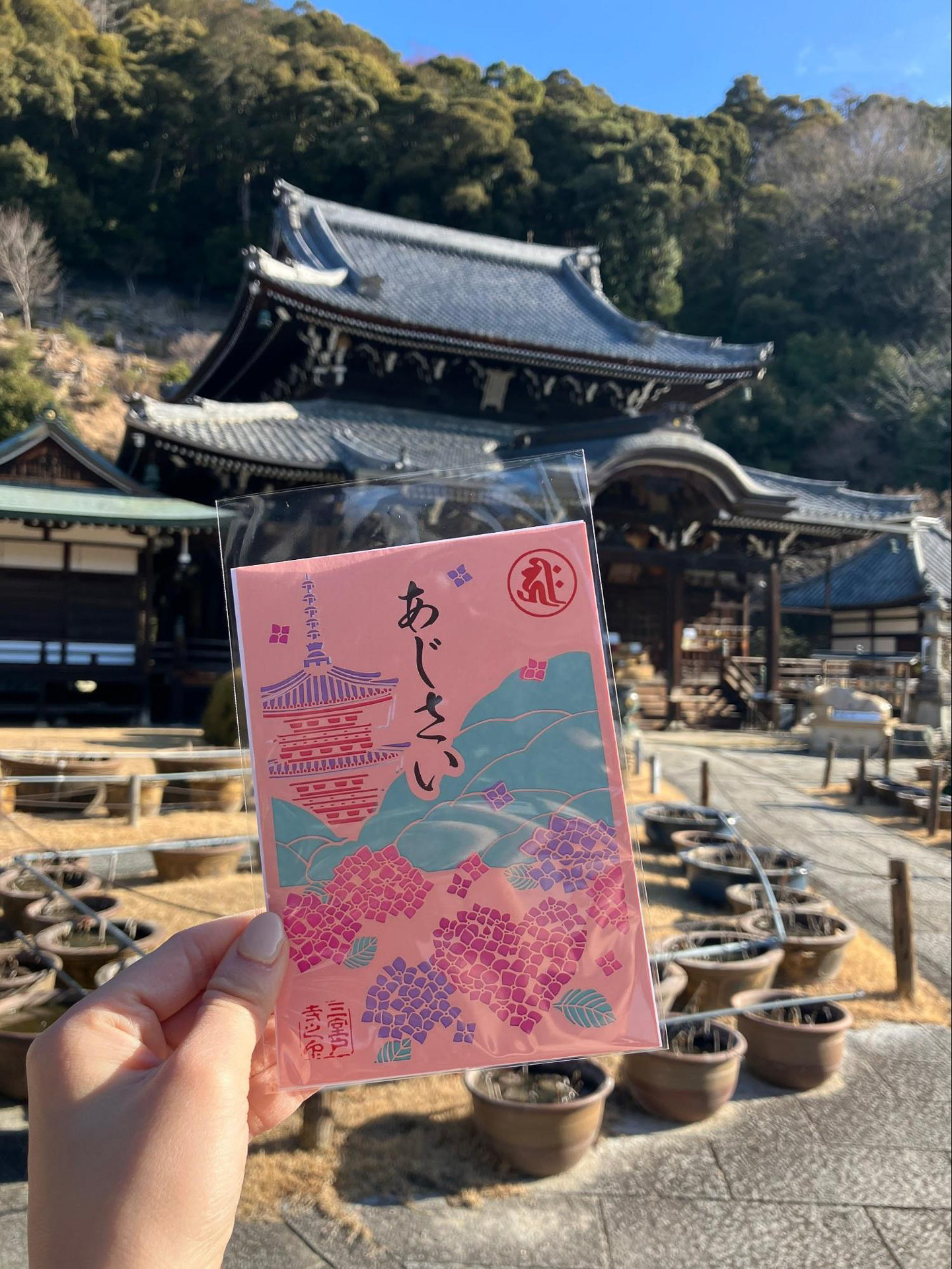 5月にはつつじ、6月にはあじさいが見頃を迎えます。あじさいのかわいい御朱印や御守りにも注目です