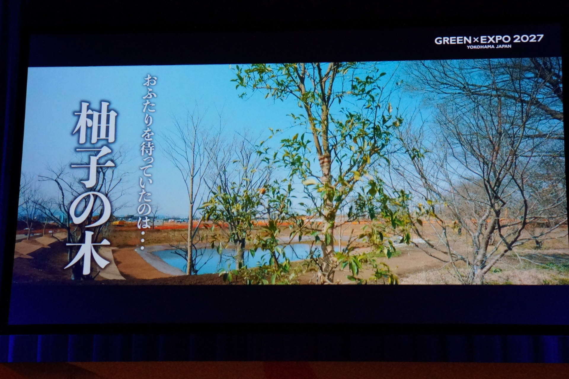 「柚子の木」記念植樹映像を公開