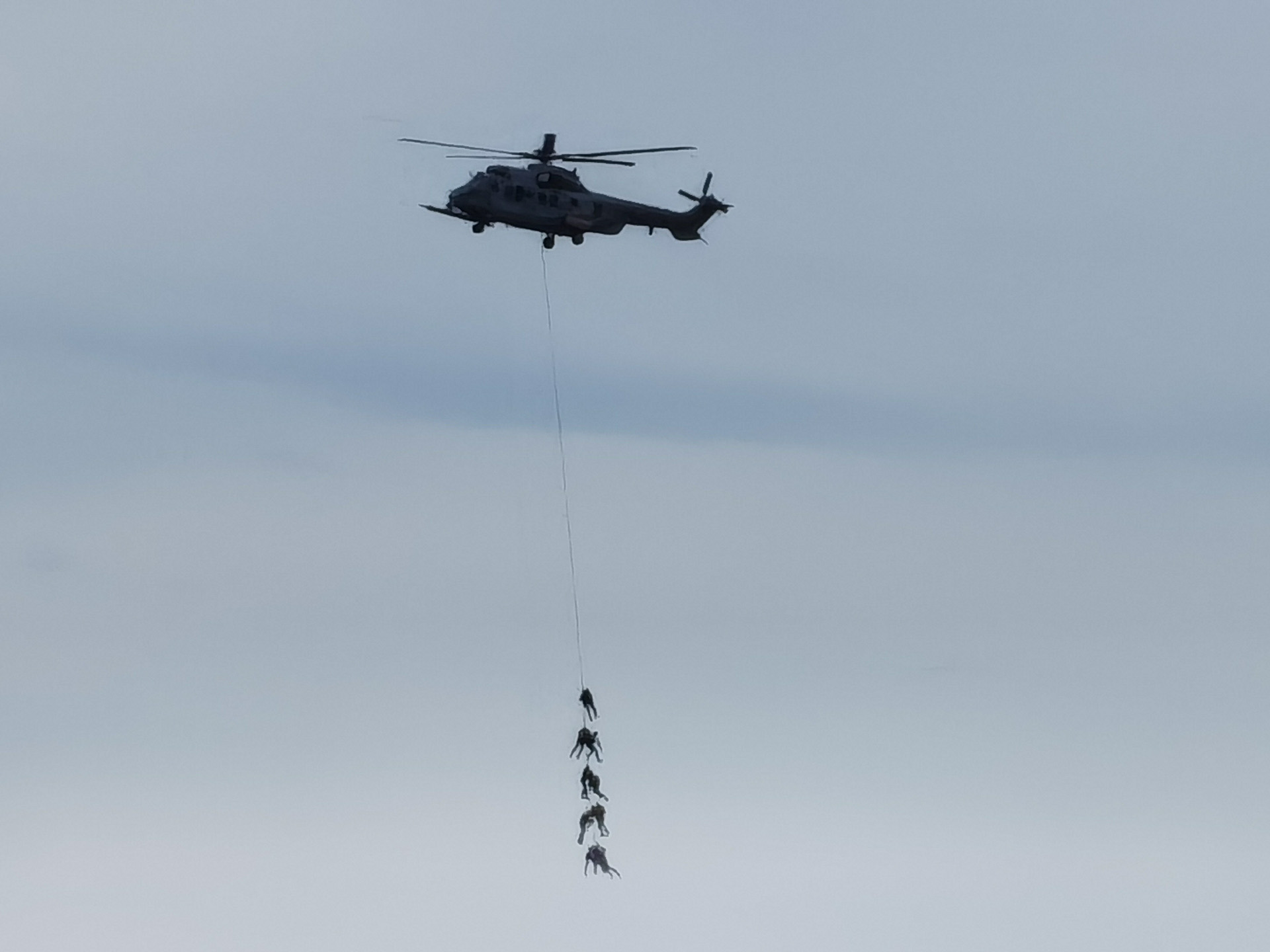 H225カラカル