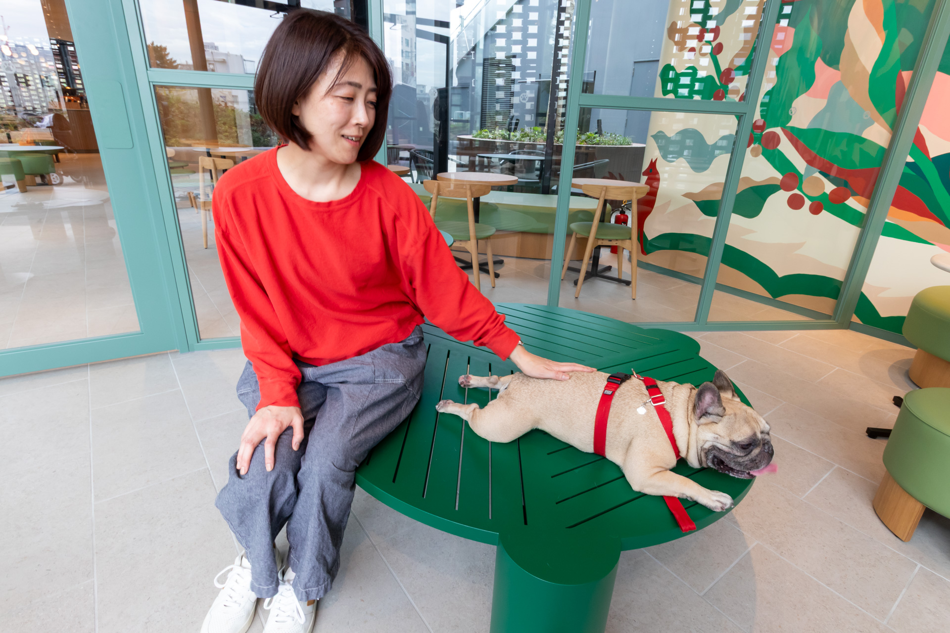 飼い主さんとリラックスして過ごすフレンチブルドッグの「のっくん」