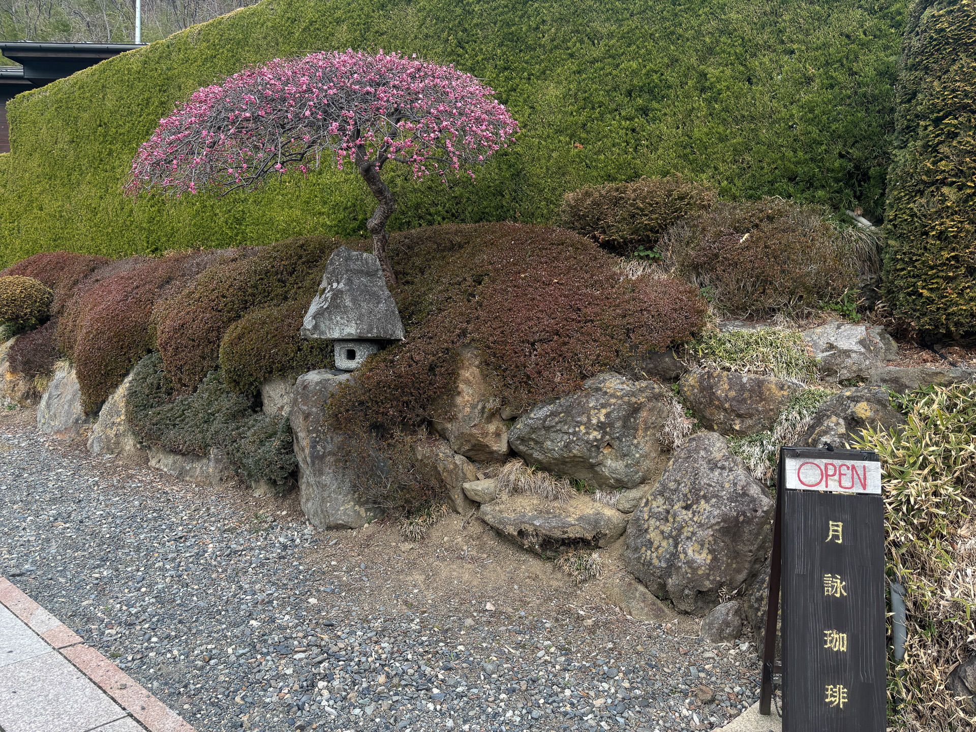 入口から素敵な月詠珈琲