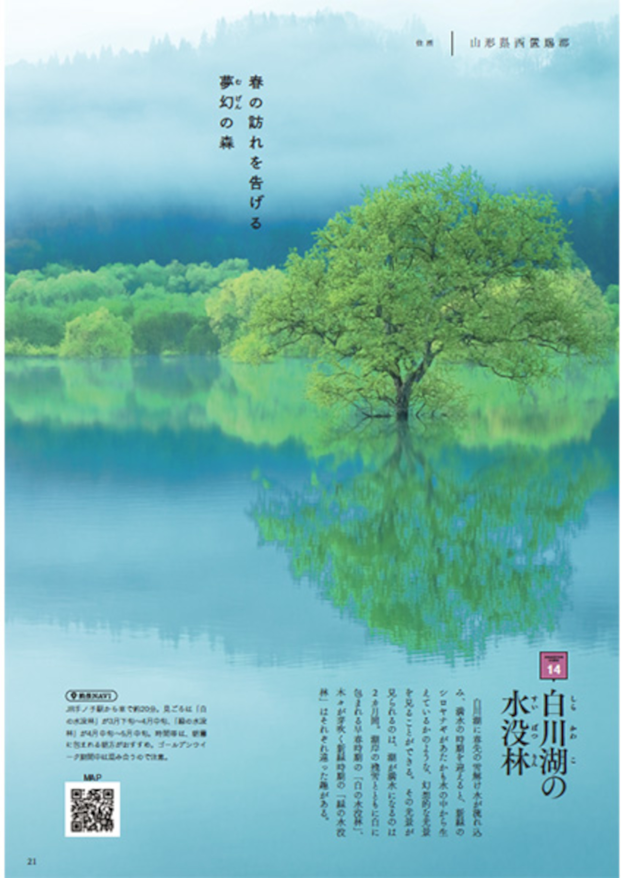 山形県の春の絶景「白川湖の水没林」