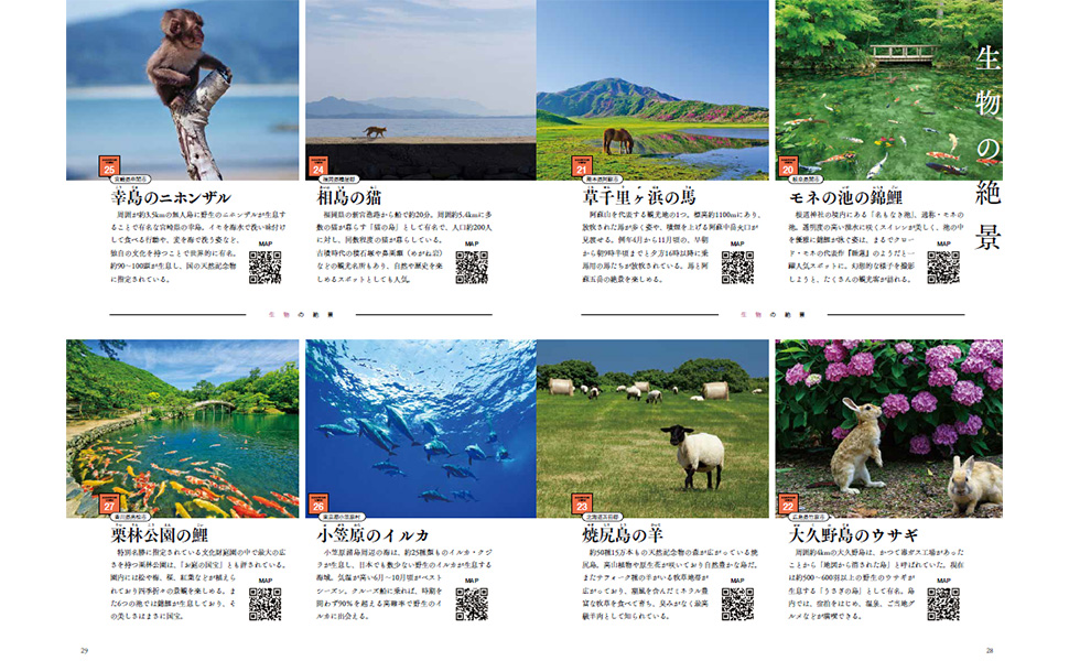 東京都「小笠原のイルカ」や広島県「大久野島のうさぎ」など、大自然に生息する生き物たちの絶景も