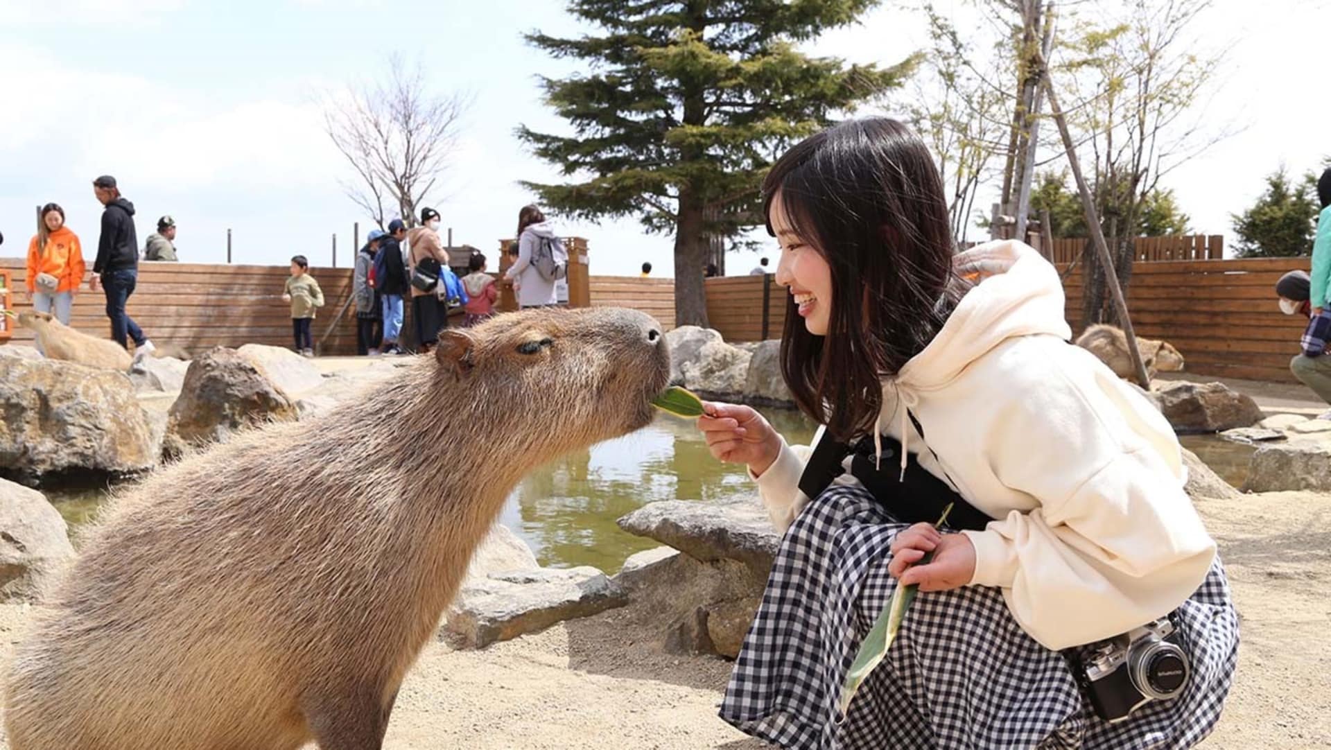 那須どうぶつ王国（宿からクルマで約47分）