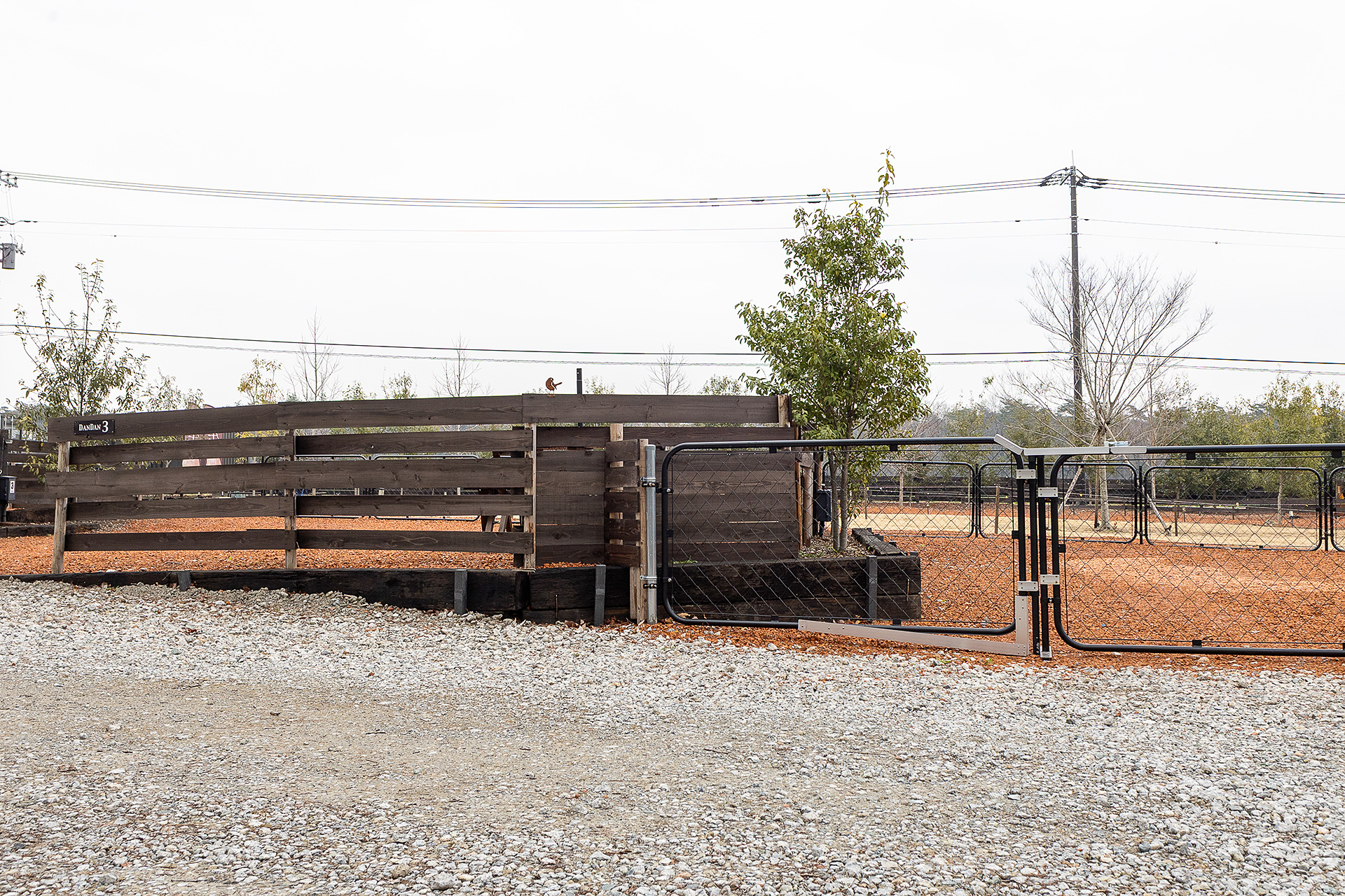 ゆるい坂道に「段」を作ってサイトにしている。サイト間の段差はこんな感じ