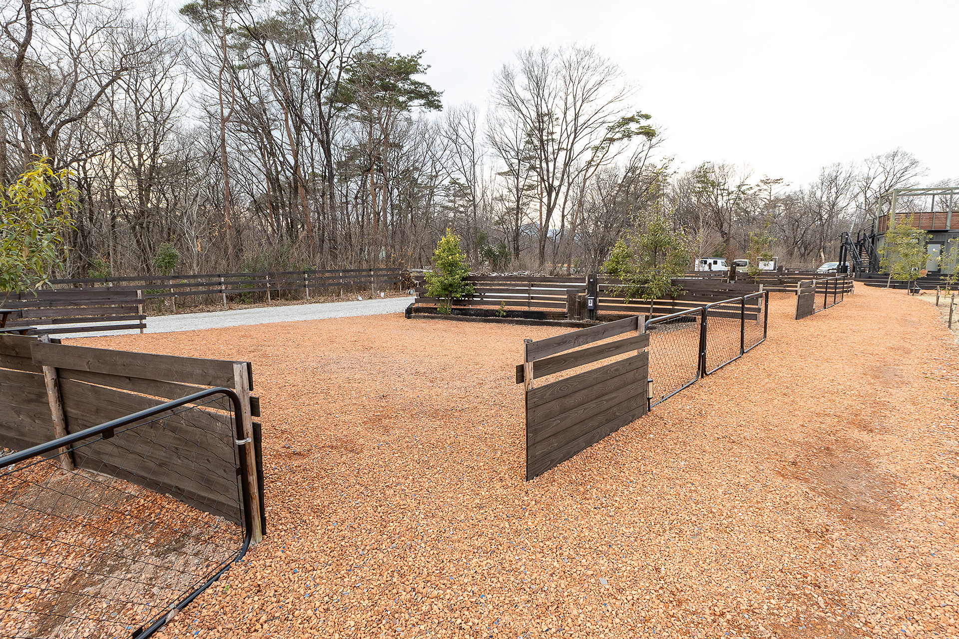 芝生側から見たところ。人の移動は安全面から車道側ではなく、芝生側になるよう通路を設けている