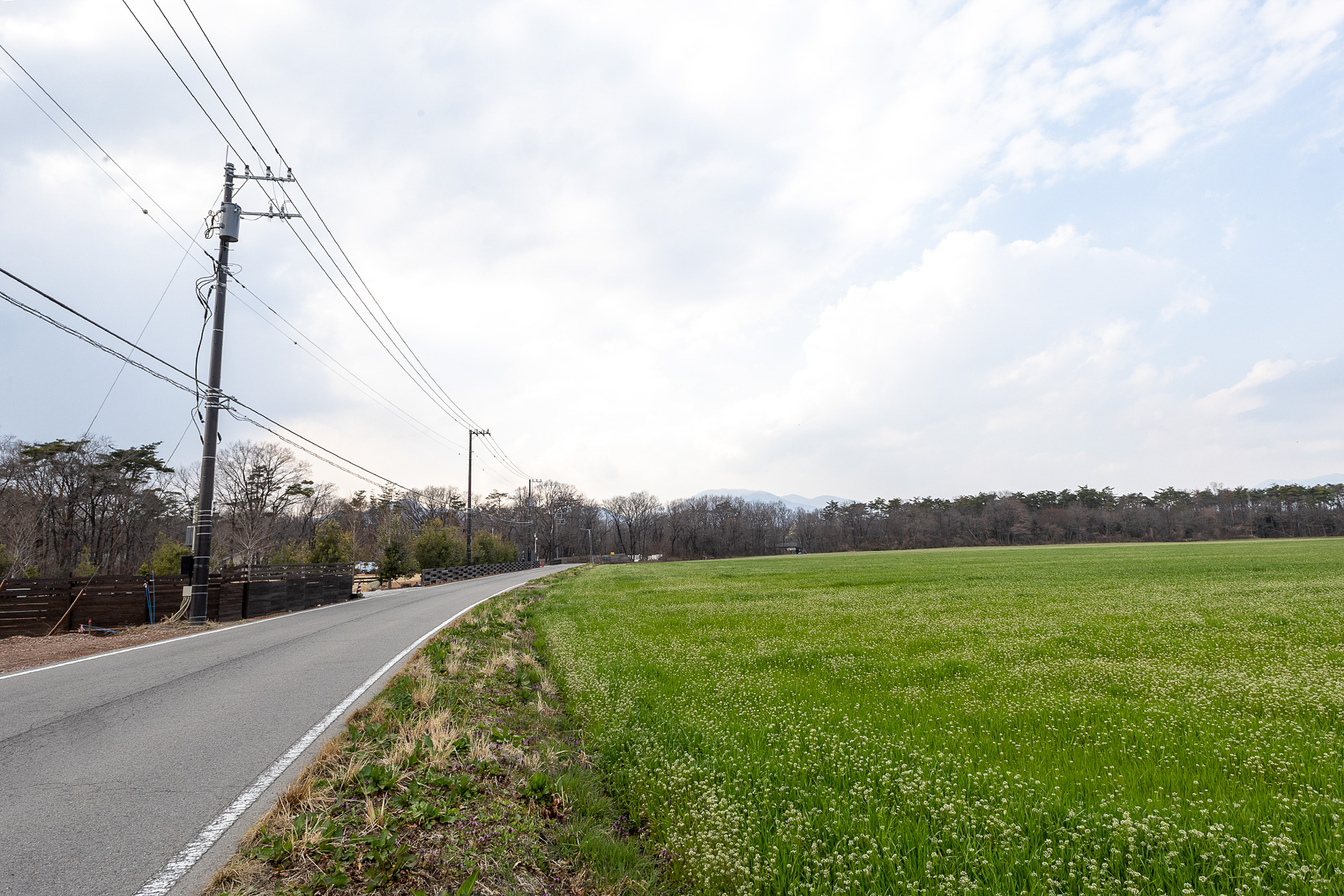 ニワトコRVパークの前面道路の向かいは広大な牧草地。夏になるととうもろこし畑になるそうだ。那須塩原は扇状地を開拓したところなので、このような広さを感じる風景は多い