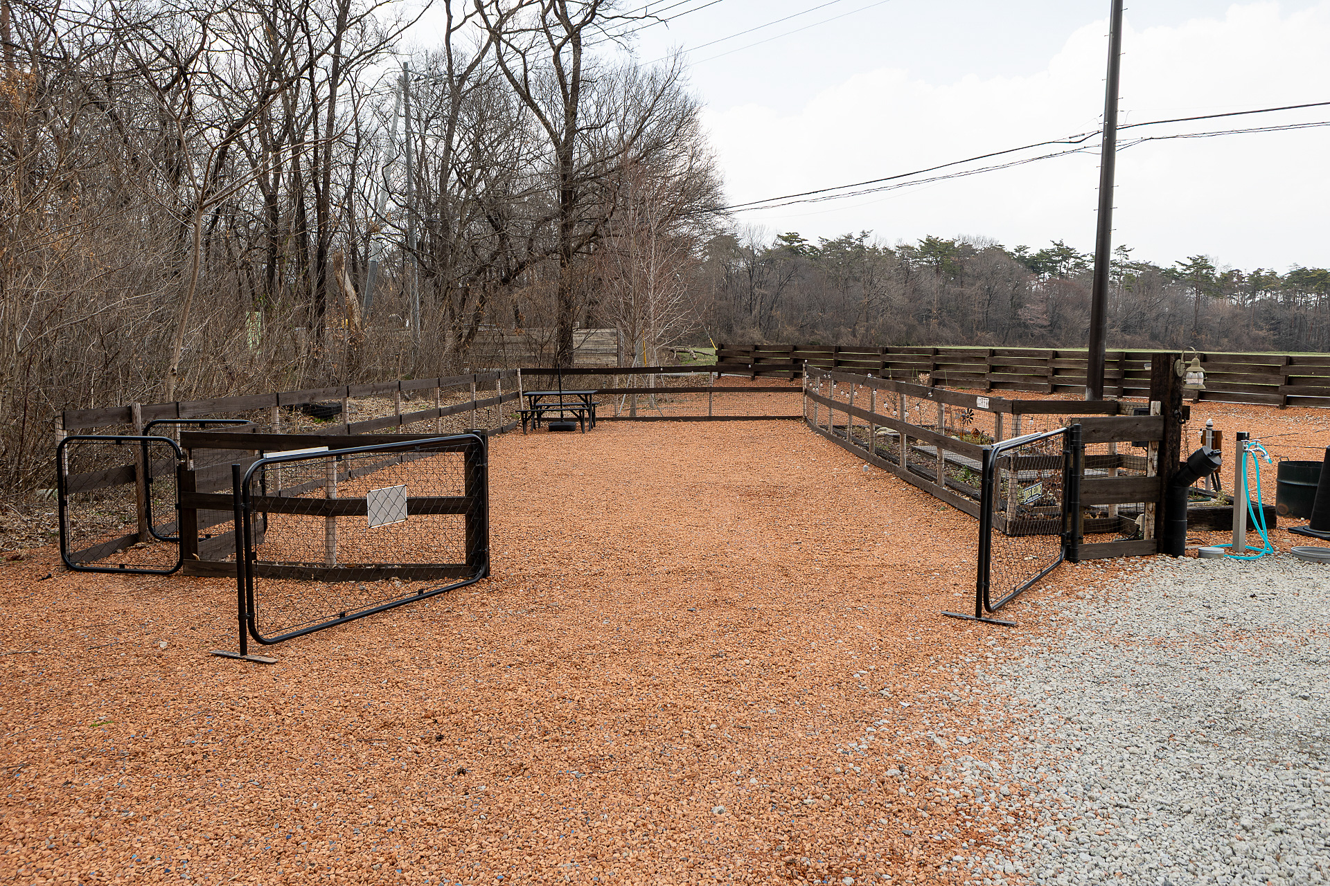 「林側サイト」はドッグフリーサイトなのでフェンスで囲ってある