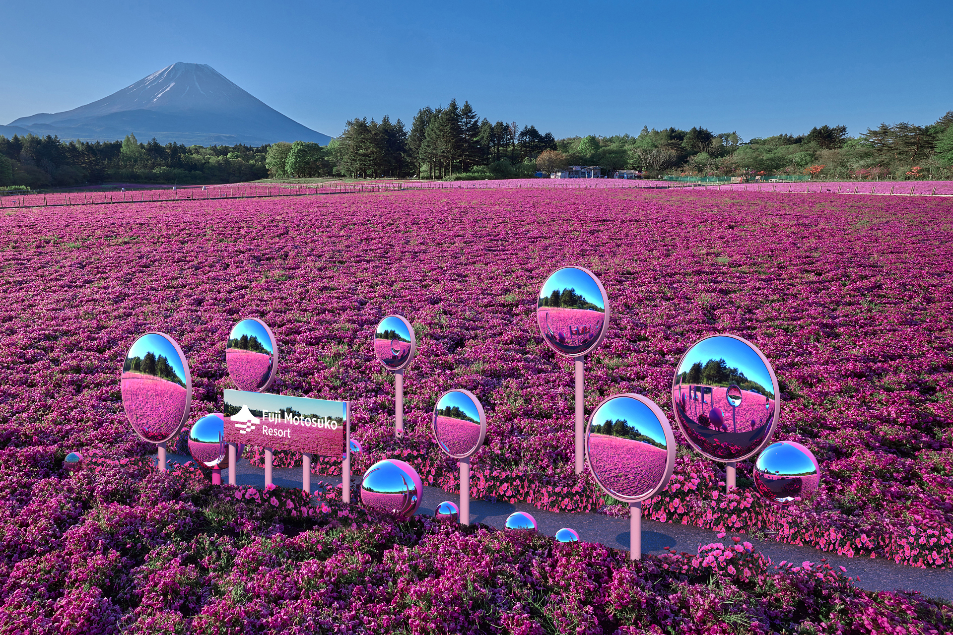 新フォトスポット「きらめく花雫ミラー」