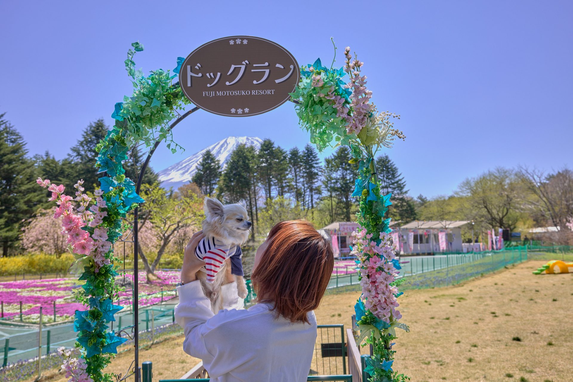 ドッグランや愛犬フォトスポットも用意