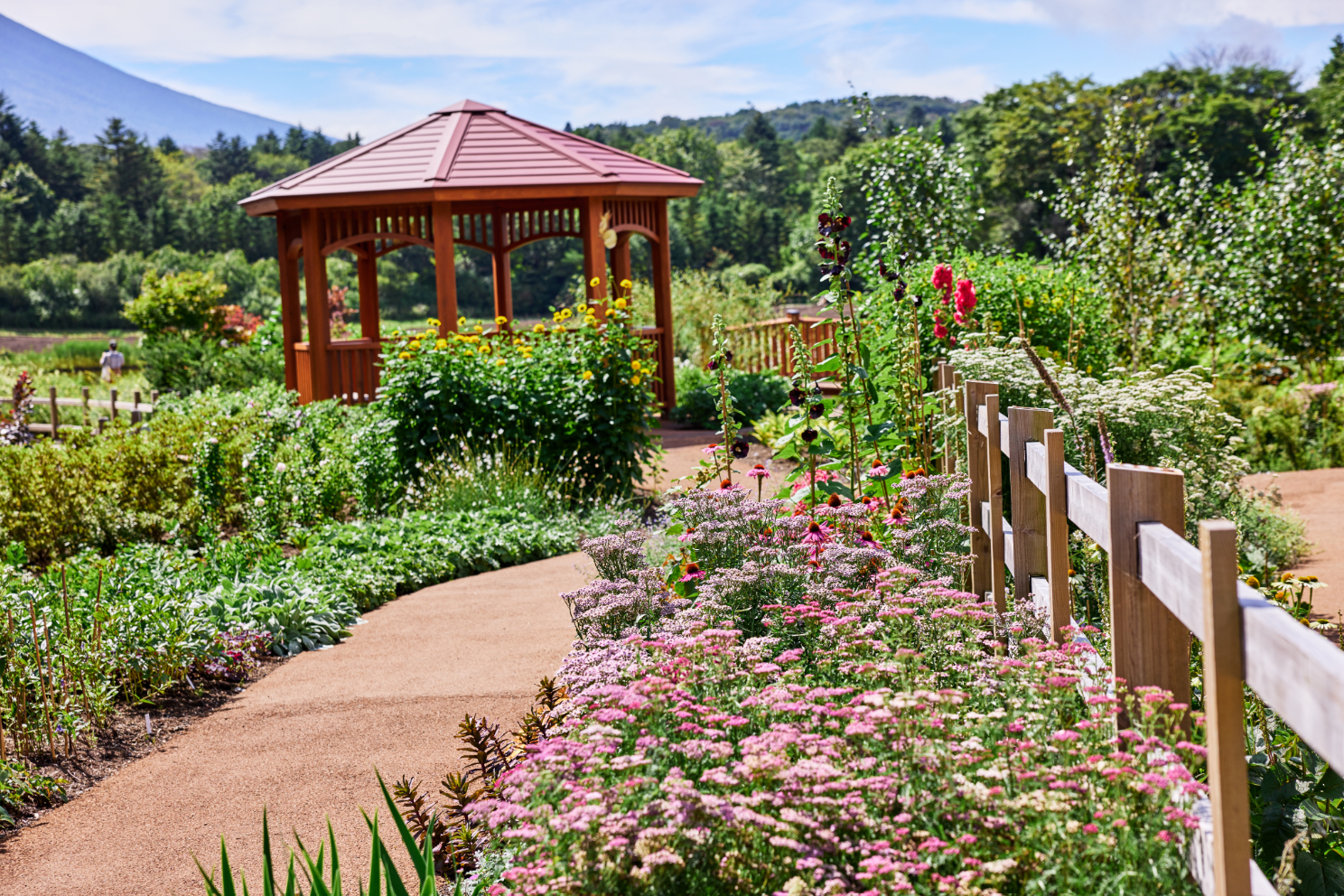 春から初冬にかけて約300種類の草木や花々が咲き誇る