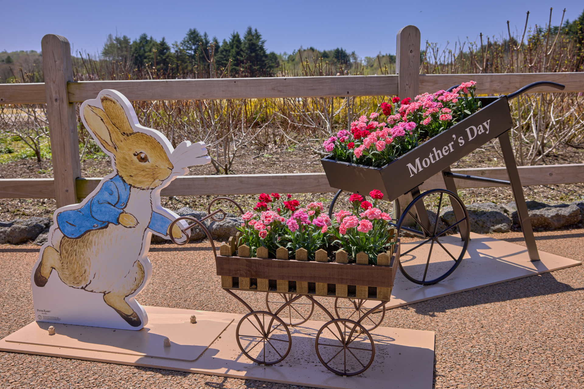 季節ごとに花が変わるフォトスポット