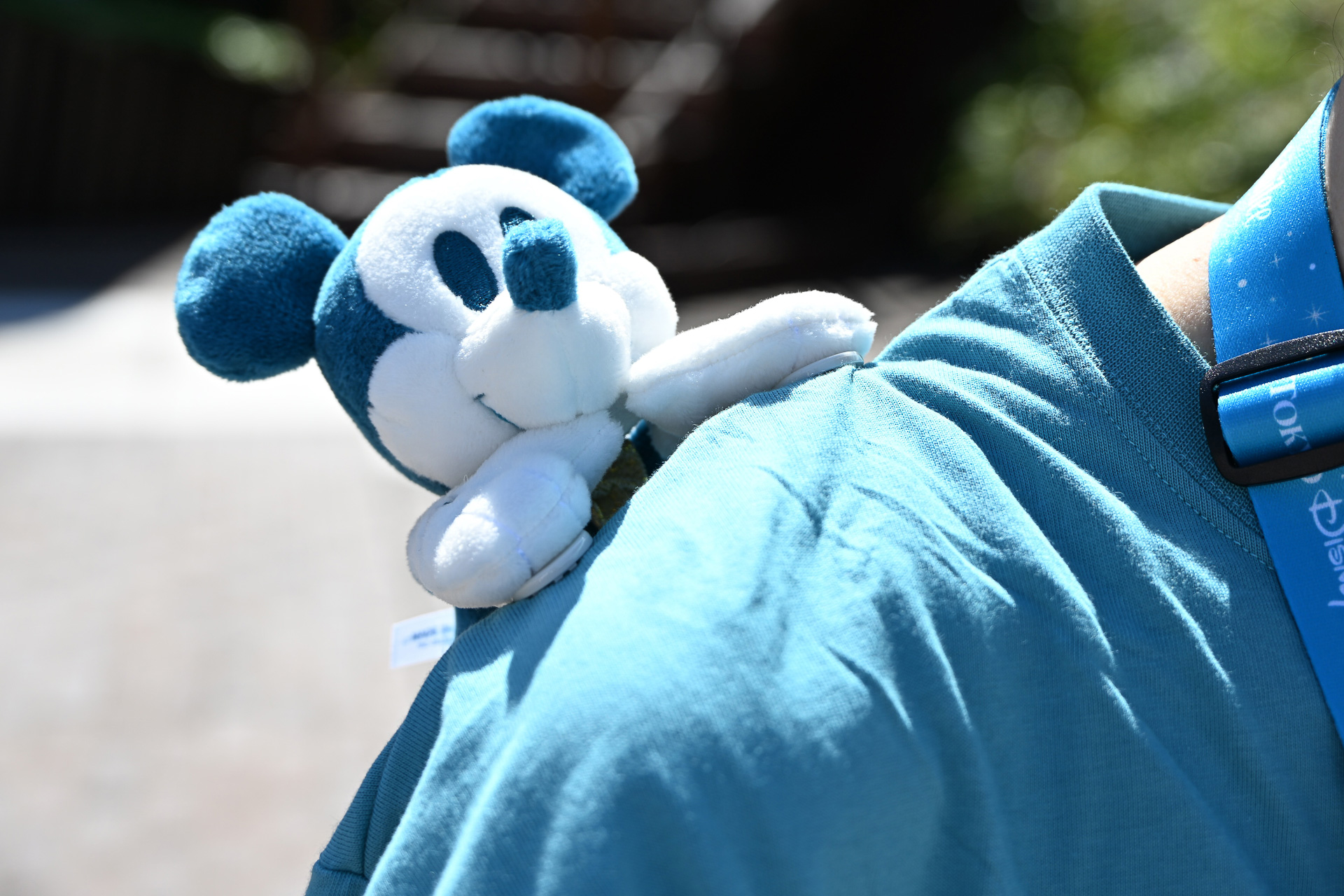 肩乗せ姿がキュート。くっつきぬいぐるみ （2500円）