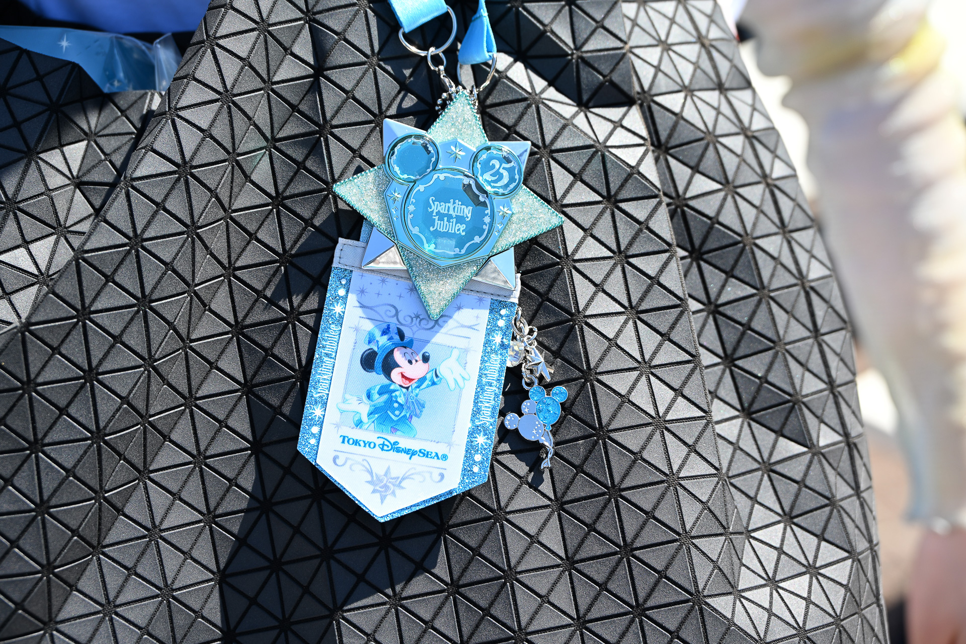 Tシャツやバッグにつけてパークを楽しもう！