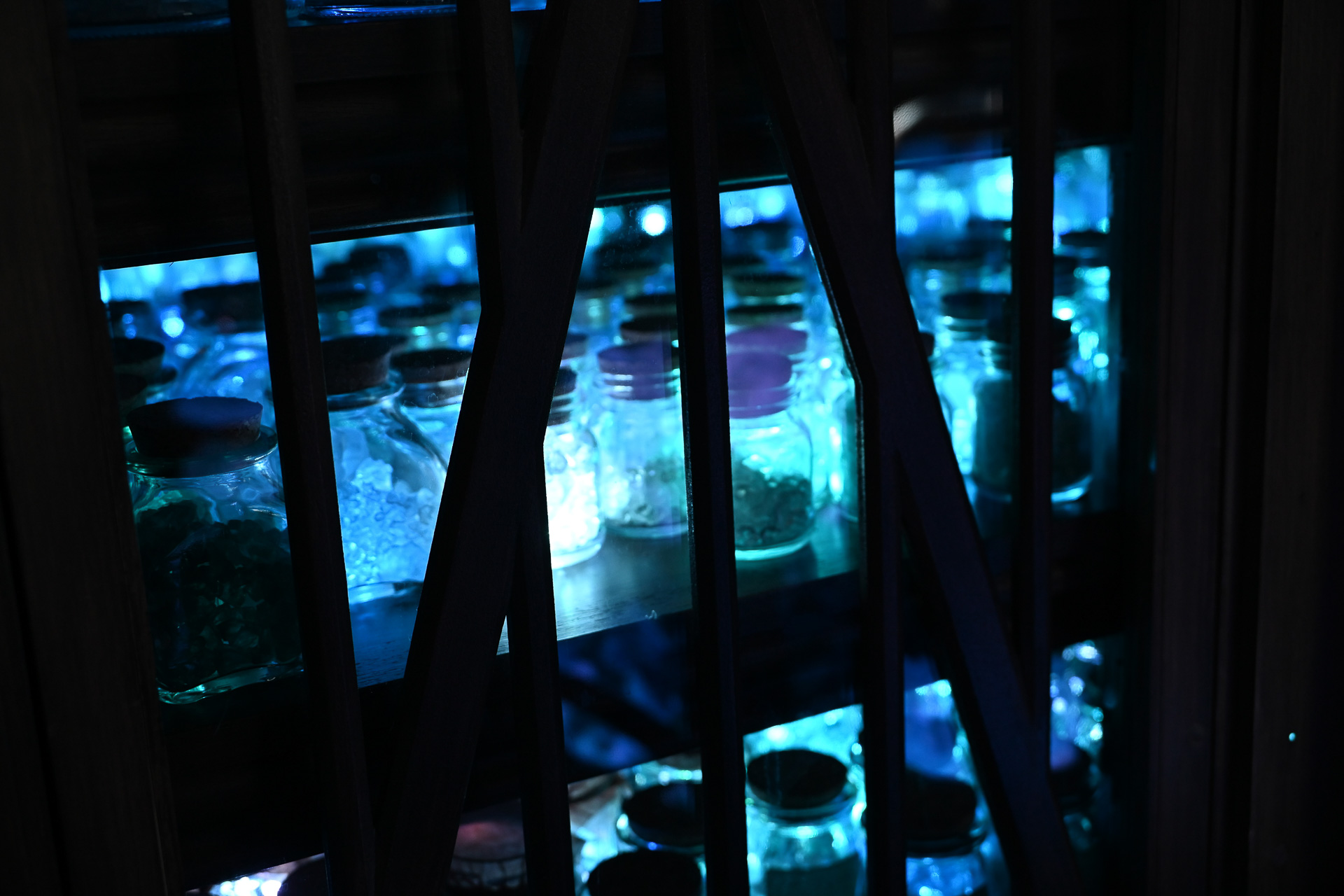 専用エリア内の様子