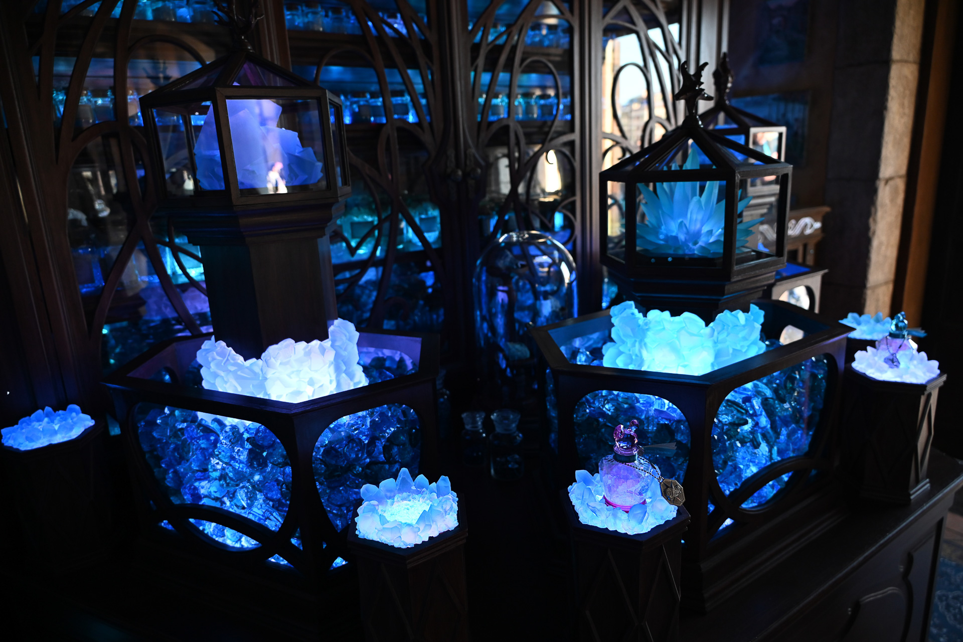 専用エリア内の様子