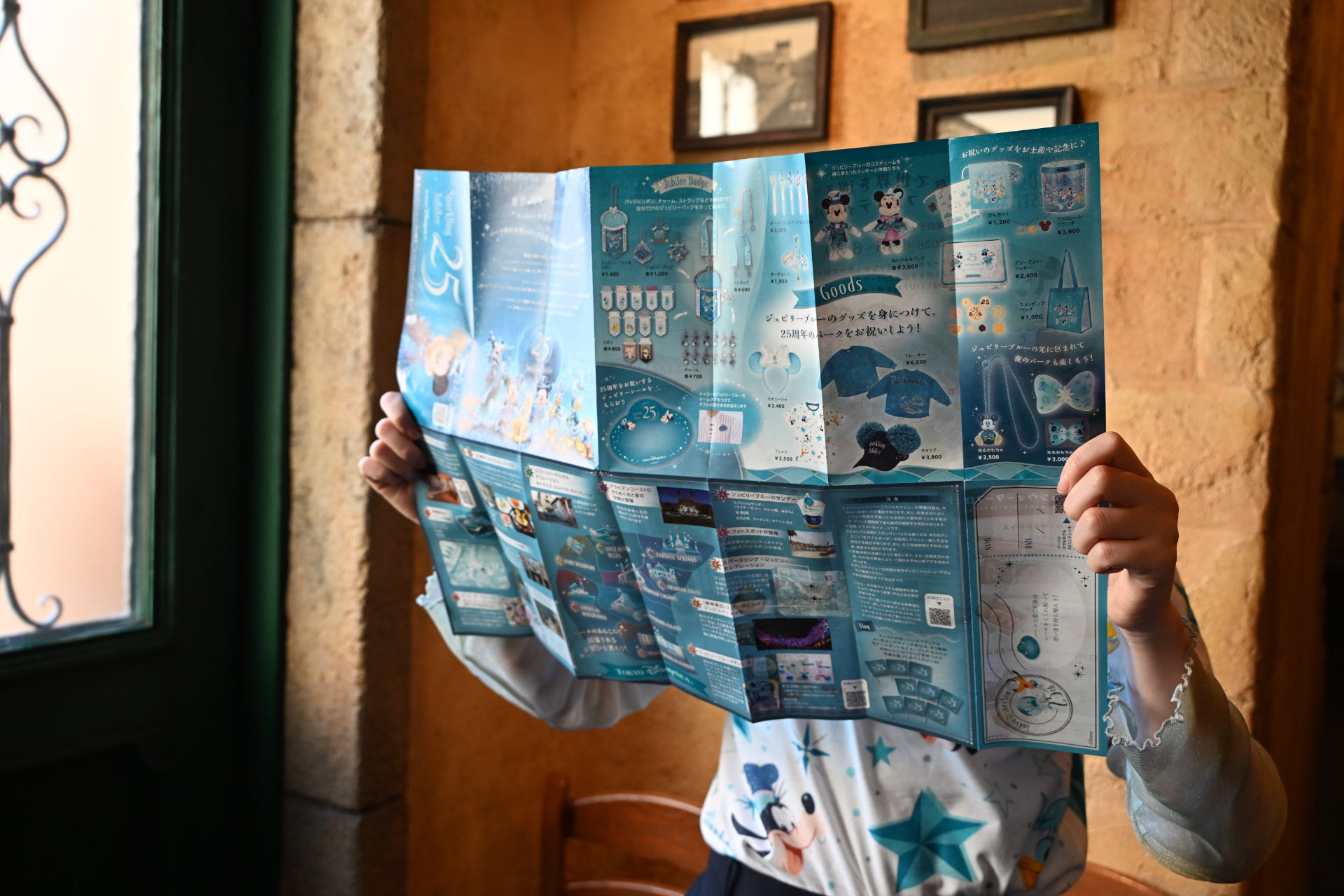 中には25周年情報がたっぷり！　チェックしながらパークを巡ろう