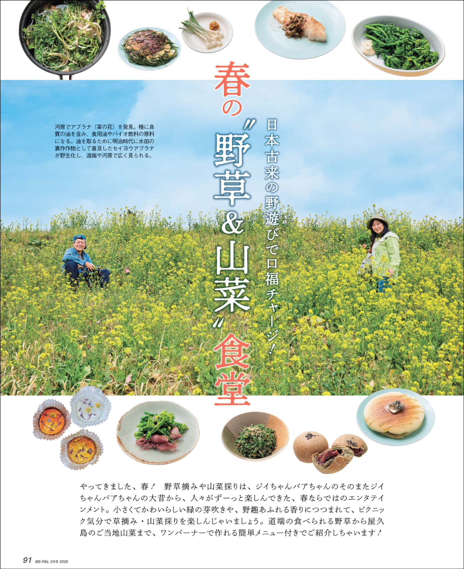 小特集「日本古来の野遊びで口福チャージ！　春の“野草＆山菜”食堂」