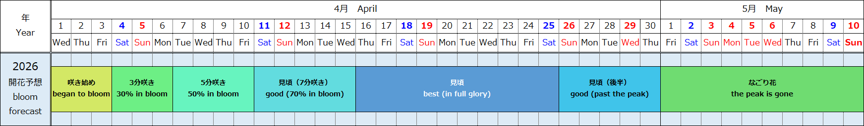 ネモフィラ開花予想2026年カレンダー