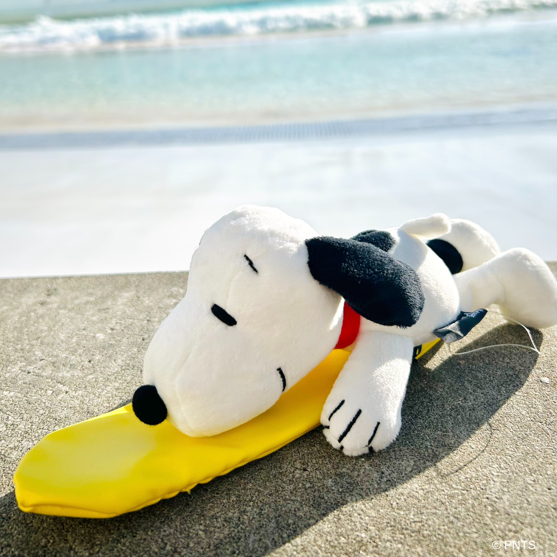 SNOOPY'S SURF SHOP