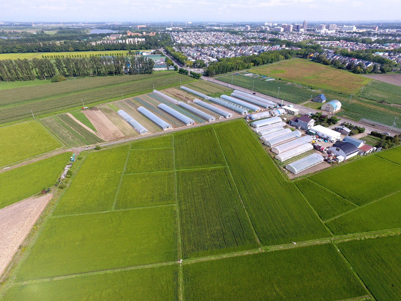 北海道・藤井ファーム・ラボ