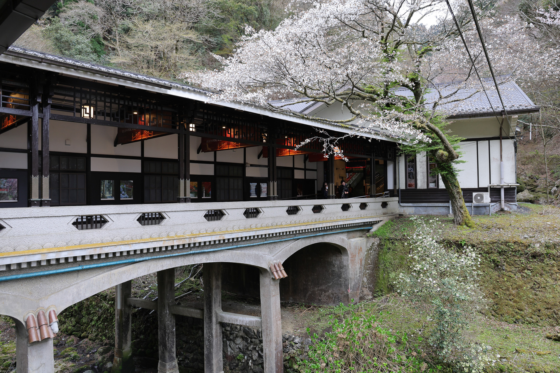 不動谷川の対岸にケーブルカーの駅があり、ケーブルカーとバスで高野山の施設にアクセスできる