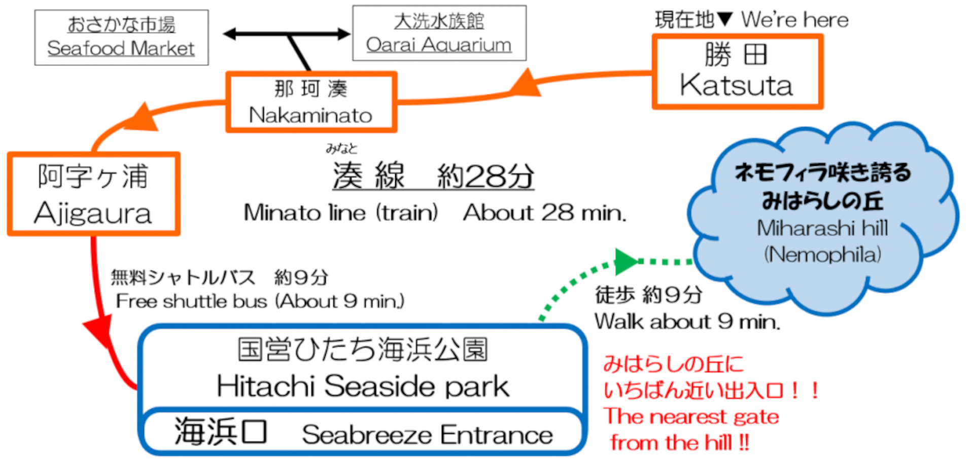 今年も無料バス「ネモフィラシャトルバス」運行